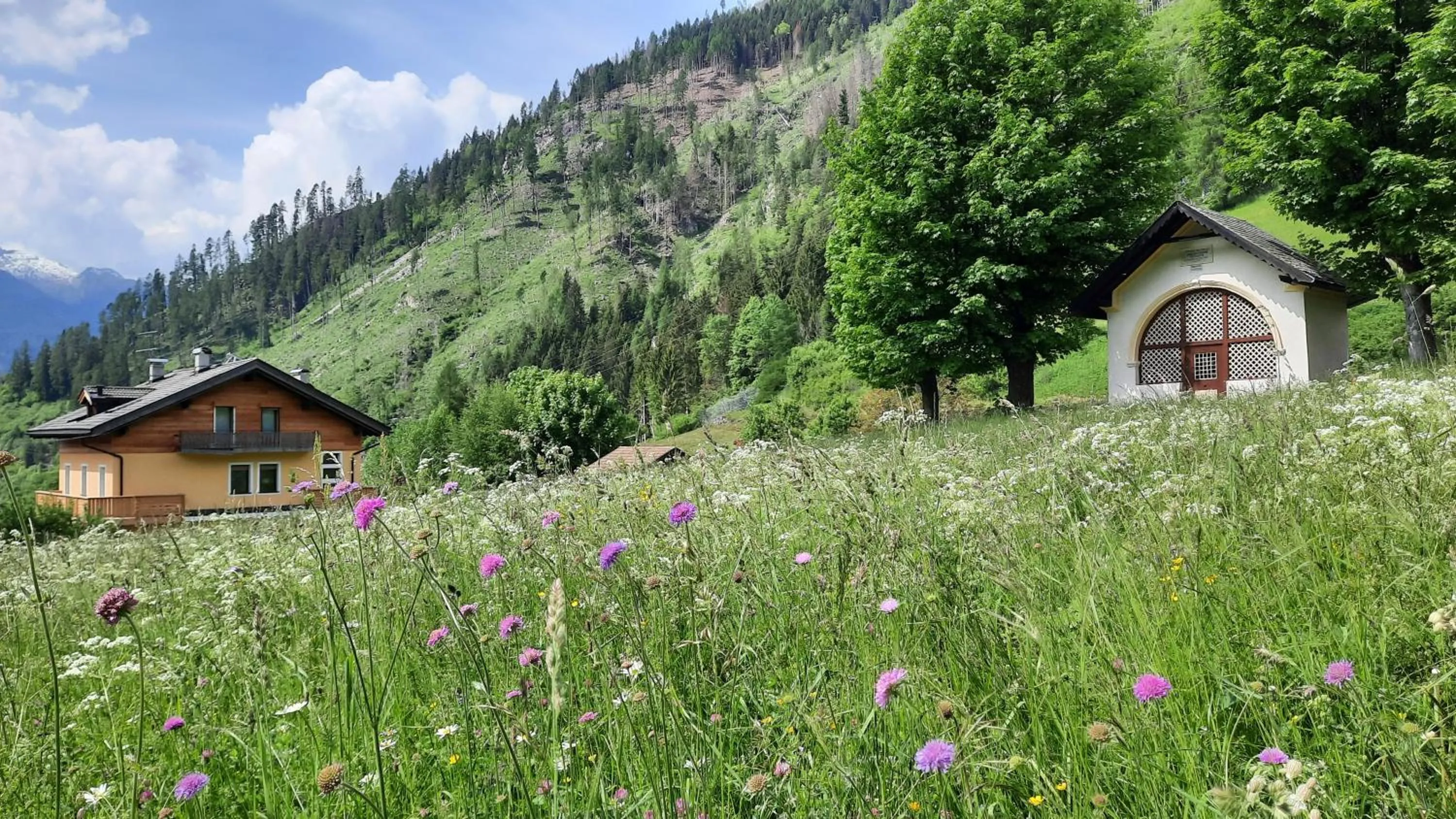 Spring in B&BeautyFol Dolomites B&B adults only