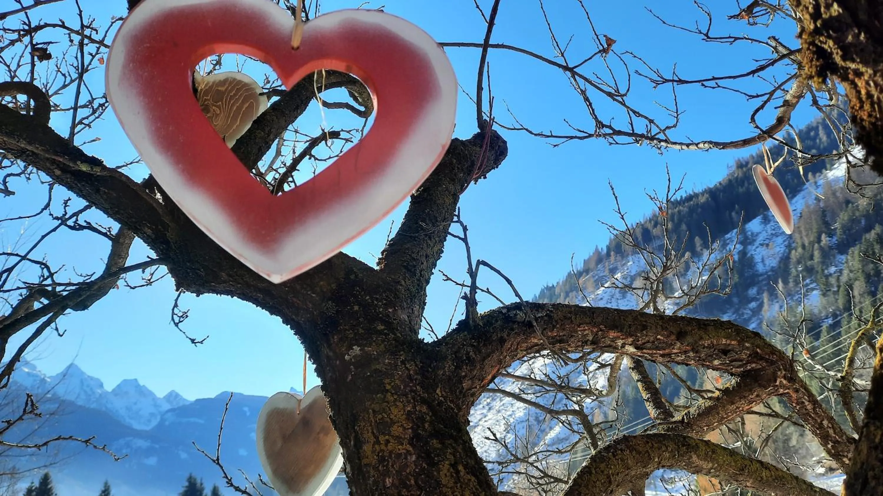 Property building in B&BeautyFol Dolomites B&B adults only