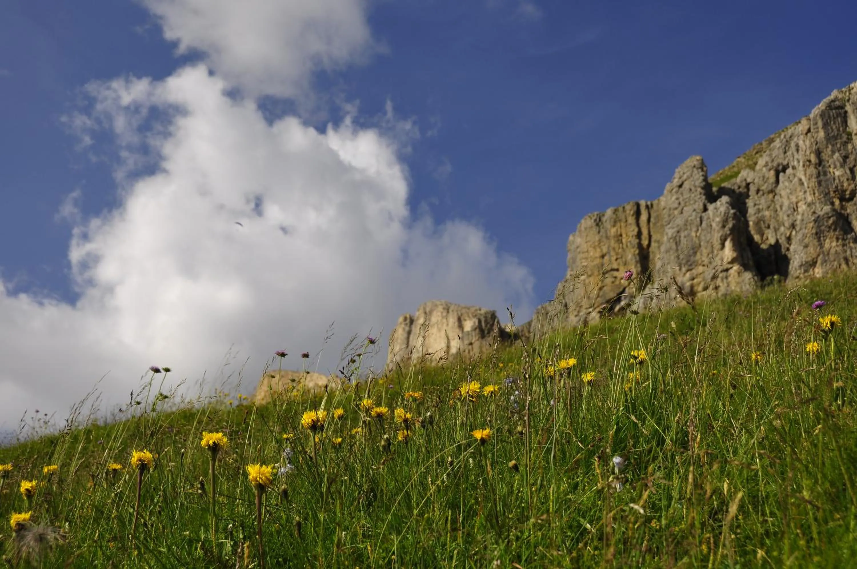Nearby landmark in B&BeautyFol Dolomites B&B adults only