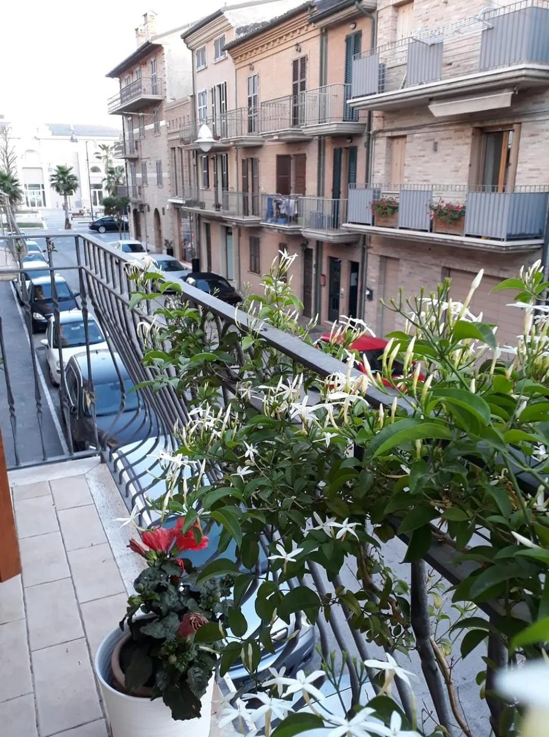 Balcony/Terrace in B&B Casa Letizia