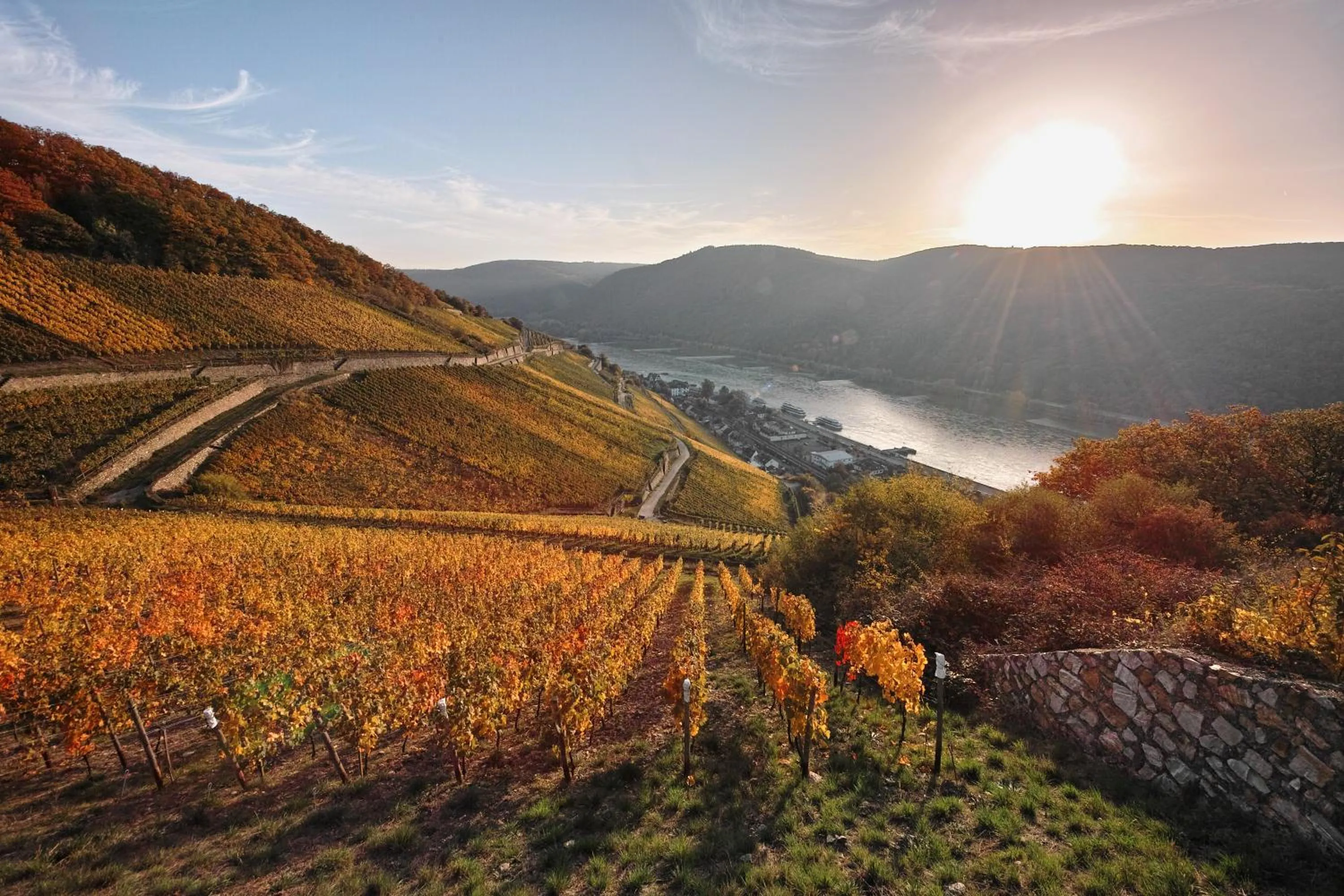 Natural landscape in Breuer's Rüdesheimer Schloss