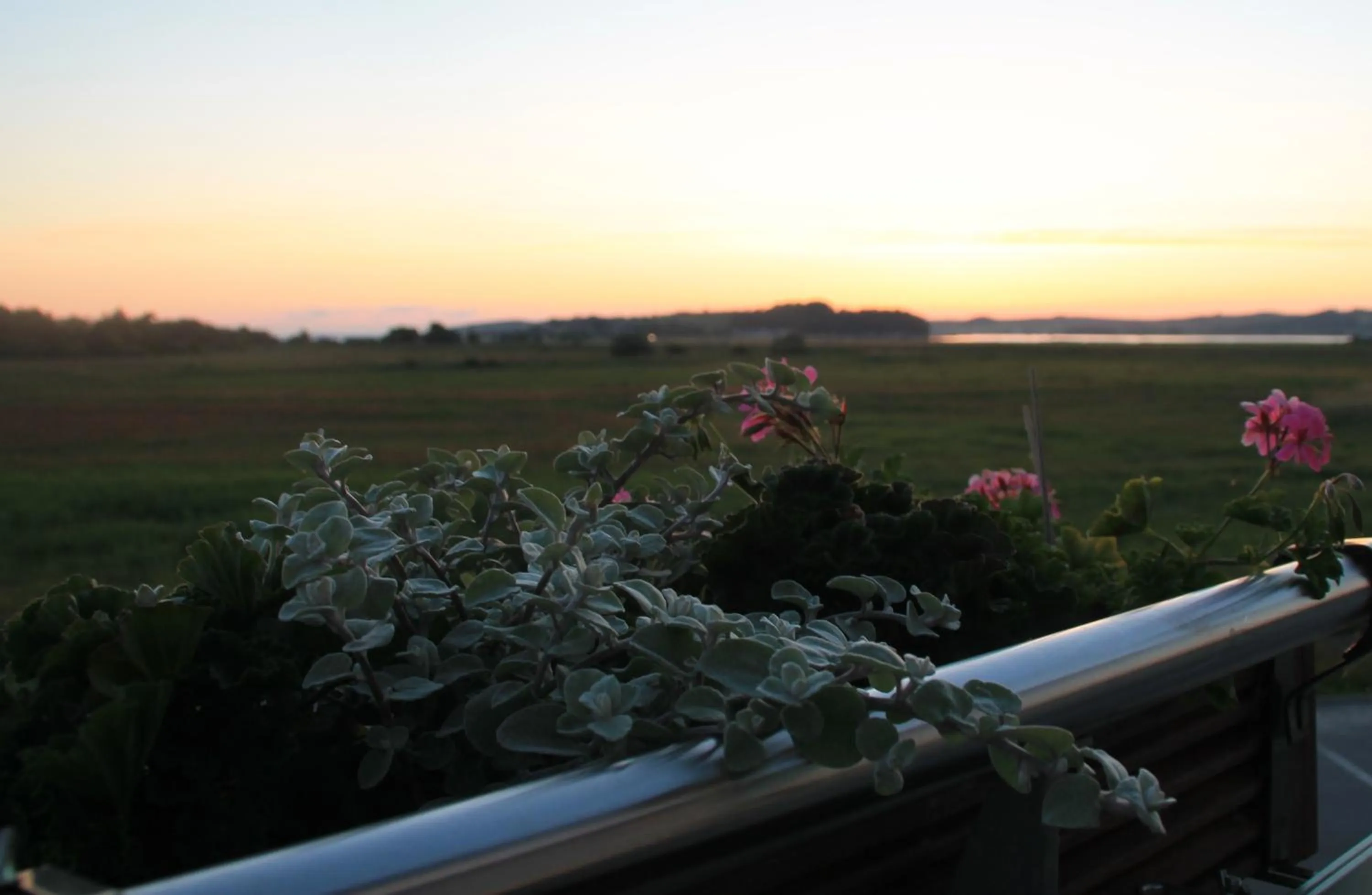 Garden in Hotel Godewind