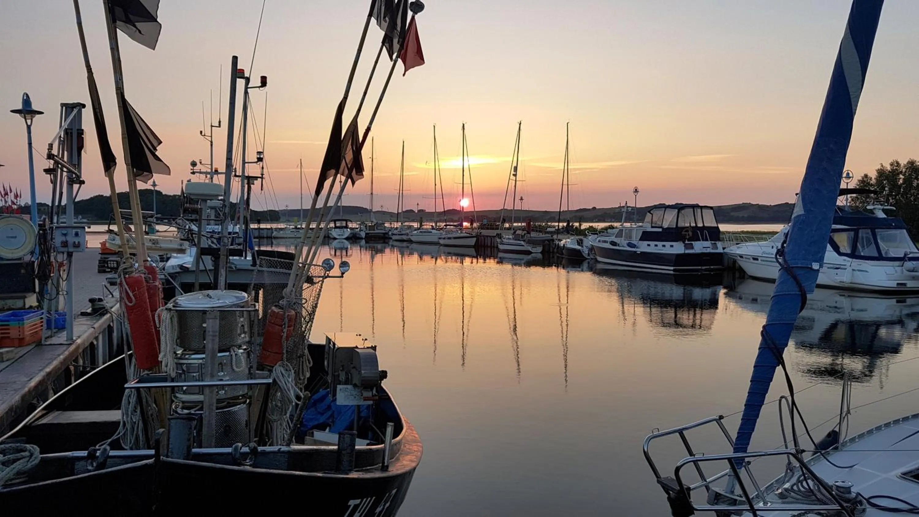 Natural landscape in Hotel Godewind