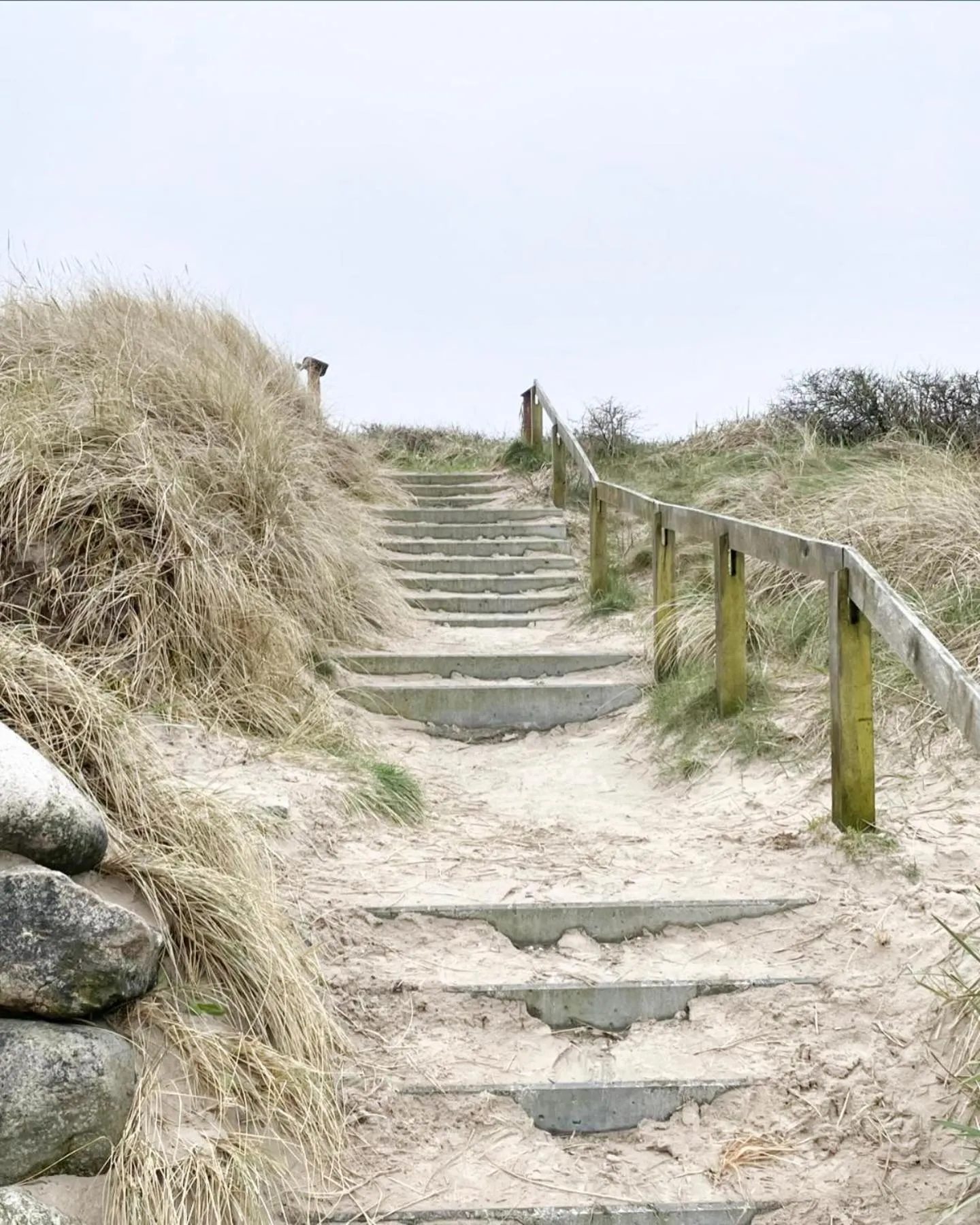Natural landscape in Kallehavegaard Badehotel