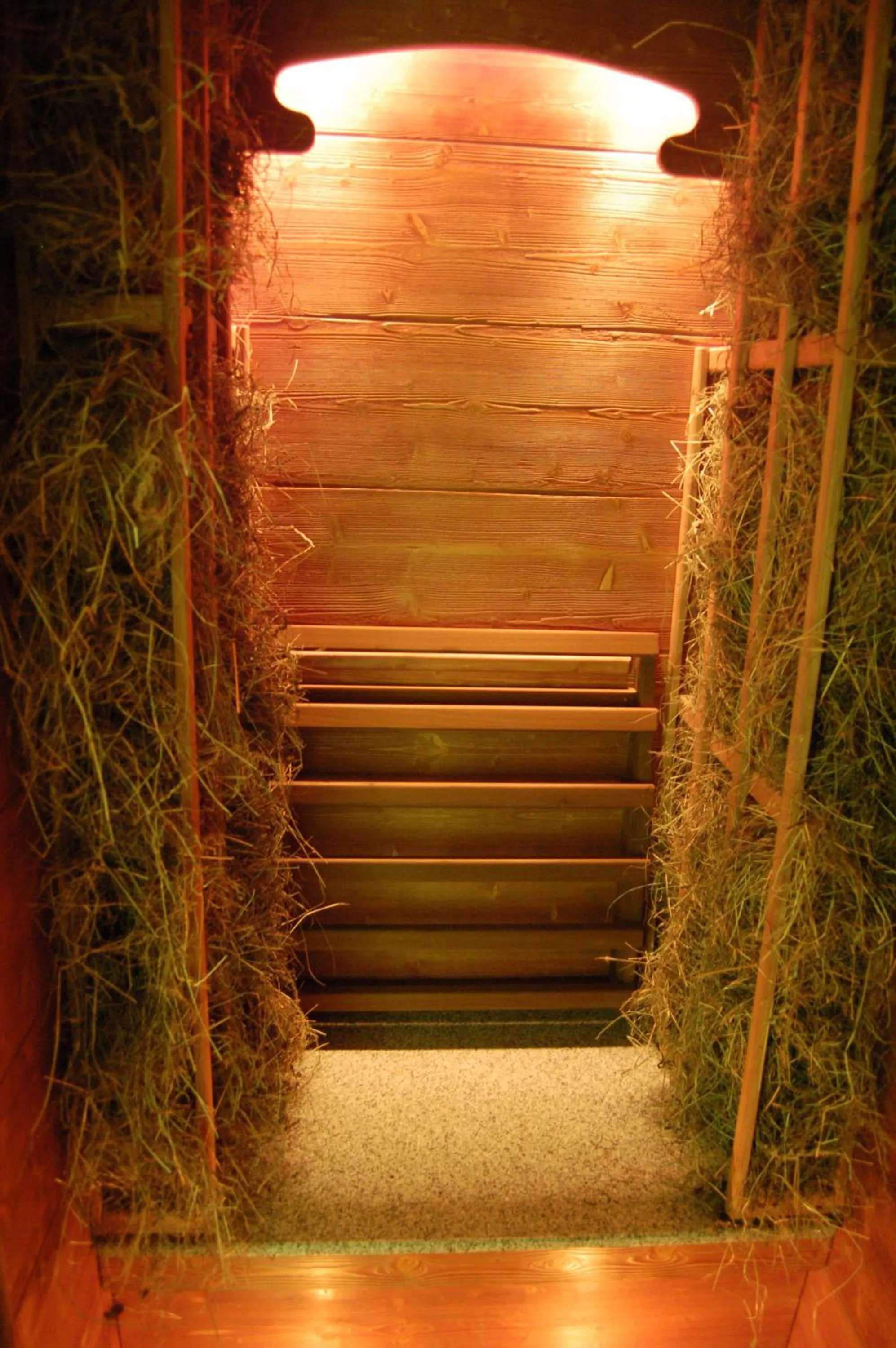 Sauna in Landhotel Altes Zollhaus