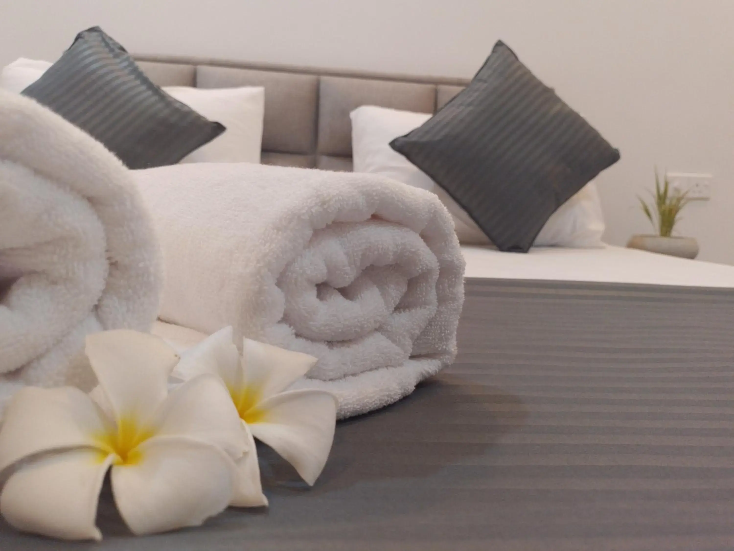 COCO Rooms COCO Rooms