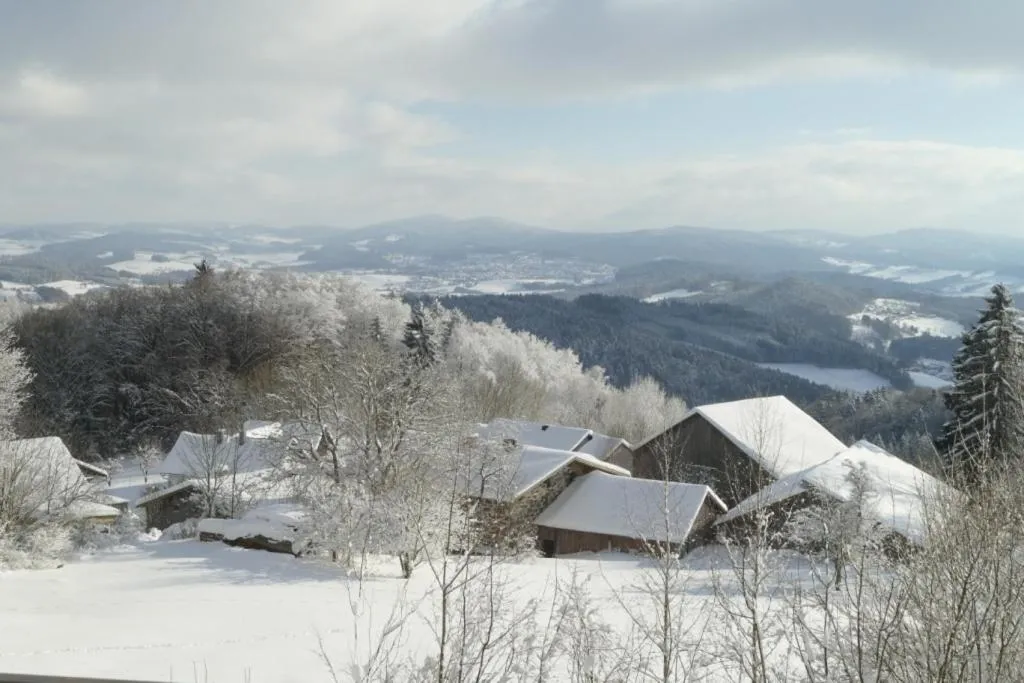 View (from property/room) in Ferienpark Geyersberg inklusive aktivCARD Bayerischer Wald