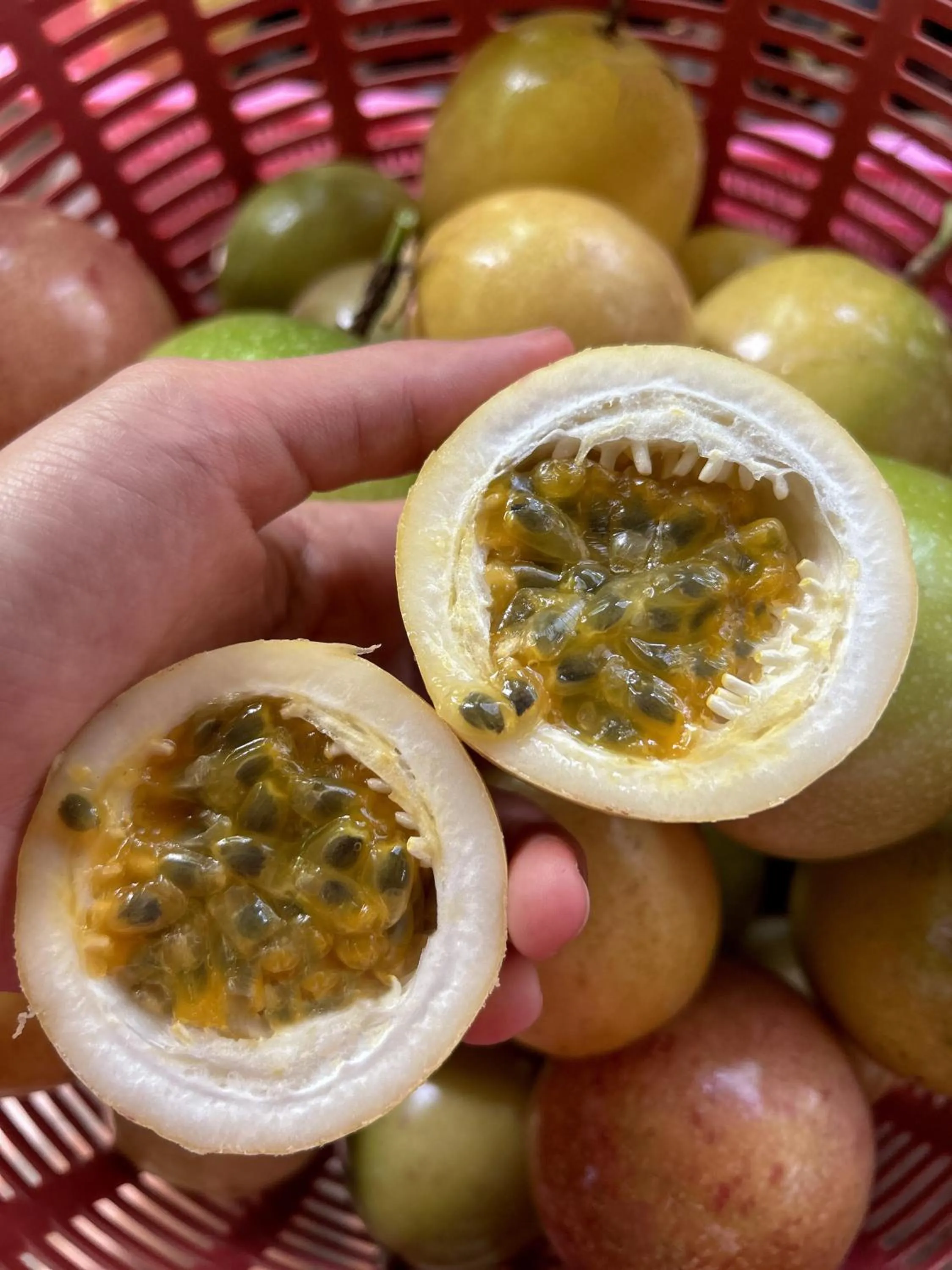 Kung Nok Tha Resort Nakhon Si Thammarat