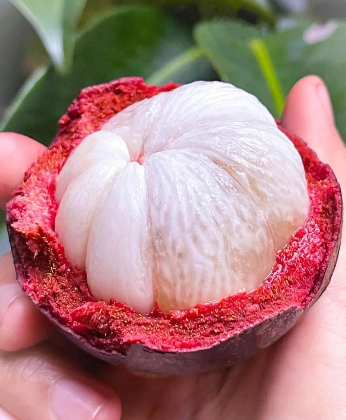 Kung Nok Tha Resort Nakhon Si Thammarat