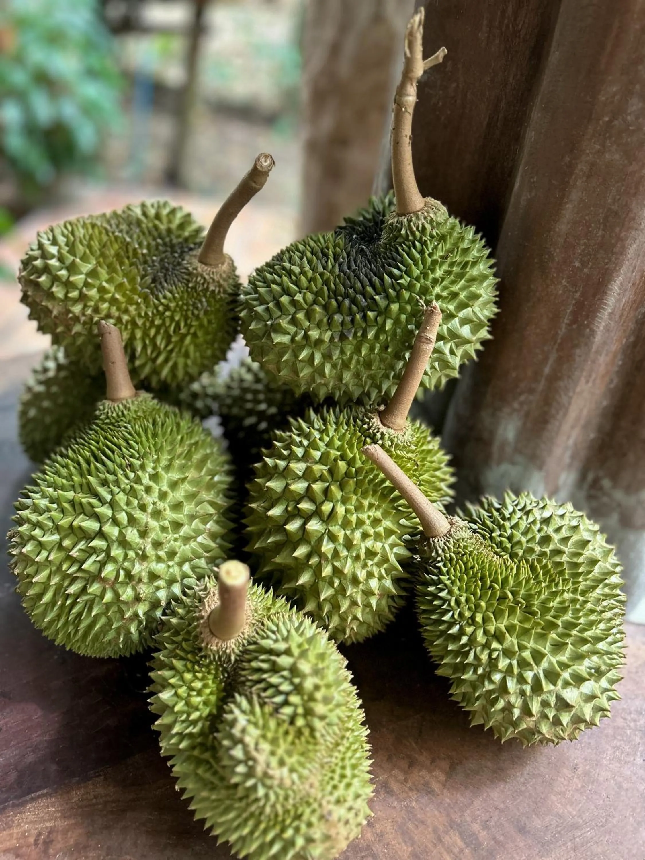 Kung Nok Tha Resort Nakhon Si Thammarat