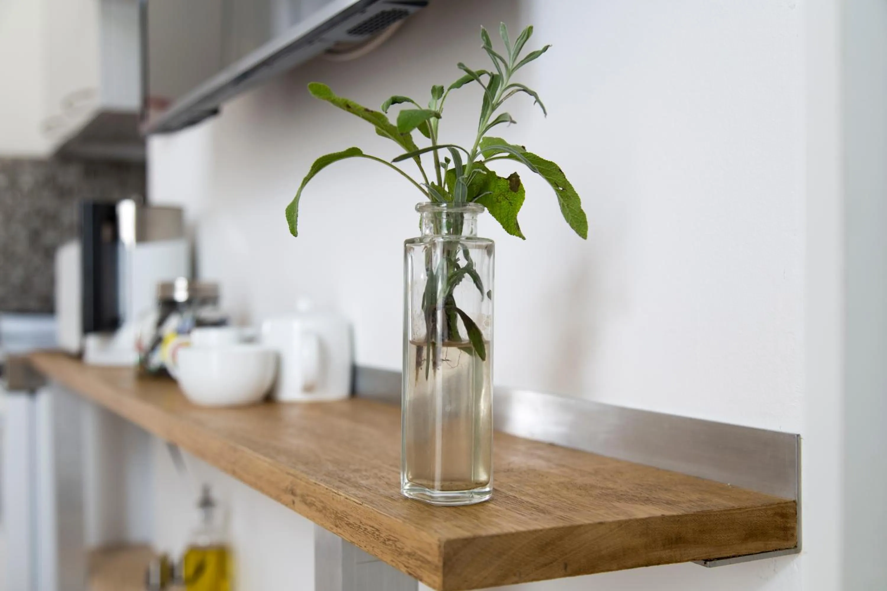 Communal kitchen in Cambridge City Studios by Paymán Club