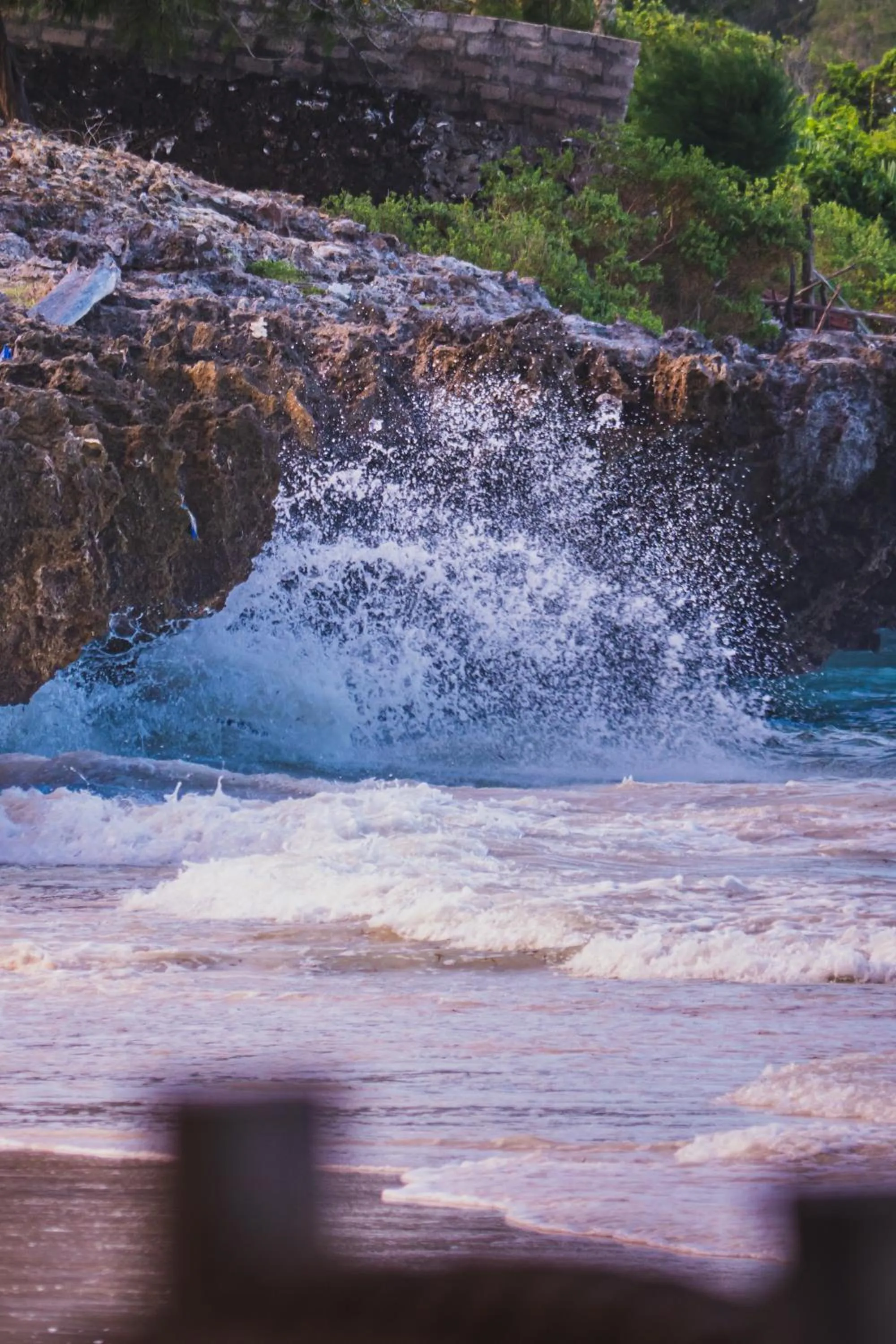 Beach in Sunshine Bay Zanzibar - Adults Only
