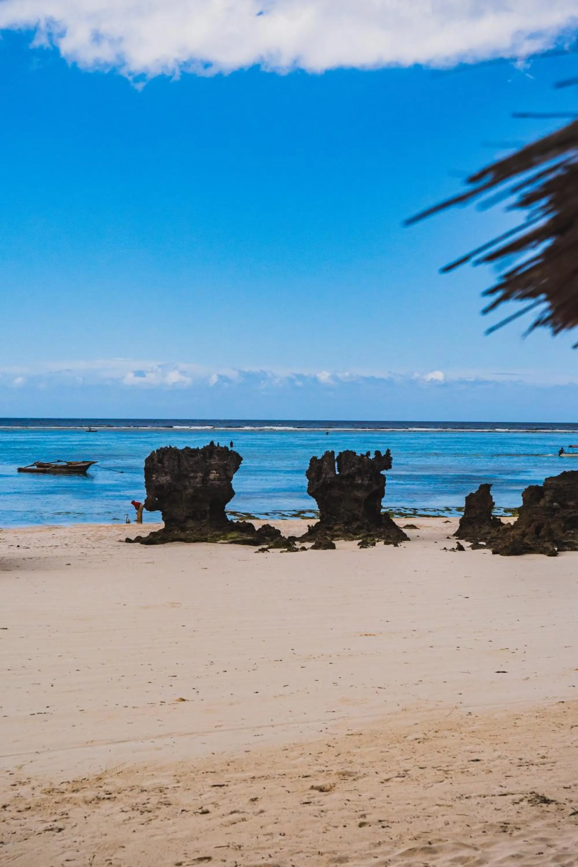 Natural landscape in Sunshine Bay Zanzibar - Adults Only