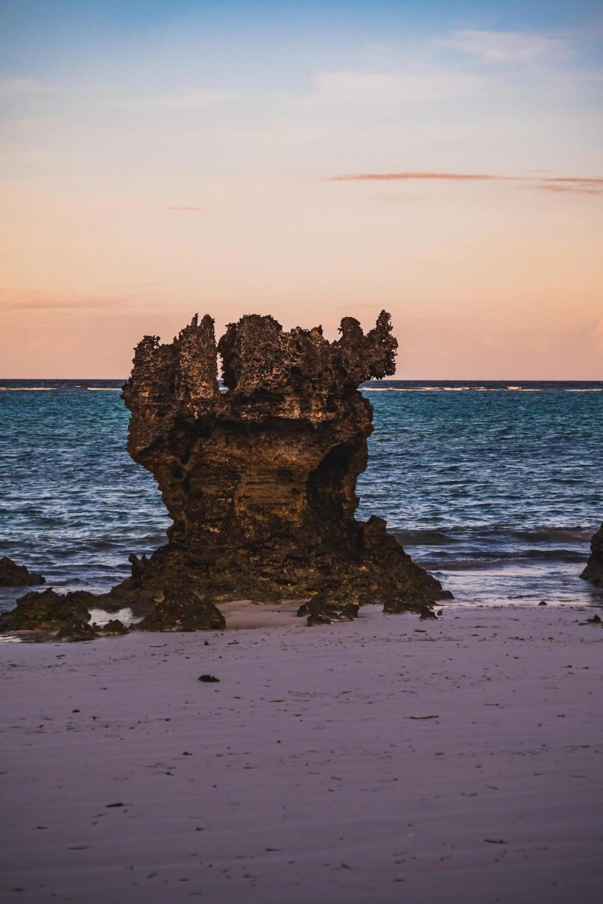 Natural landscape in Sunshine Bay Zanzibar - Adults Only