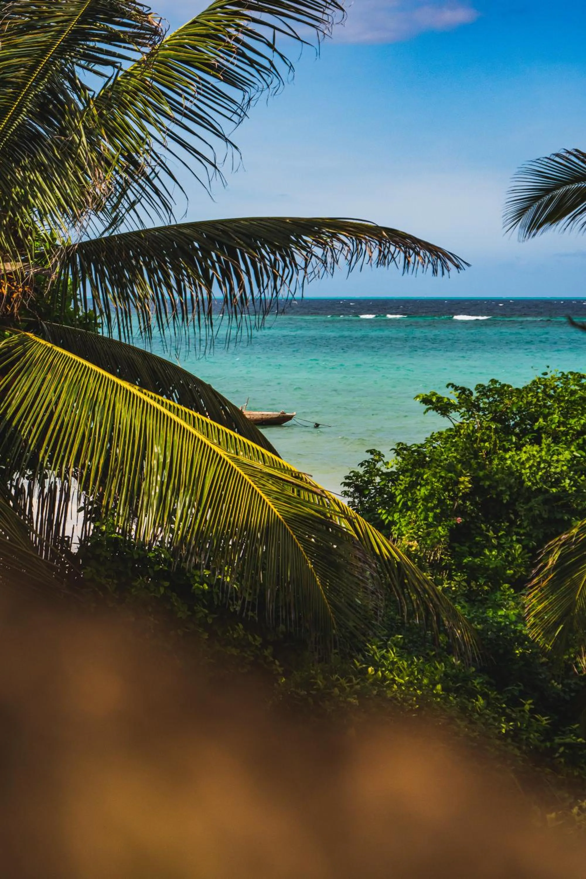 Garden in Sunshine Bay Zanzibar - Adults Only