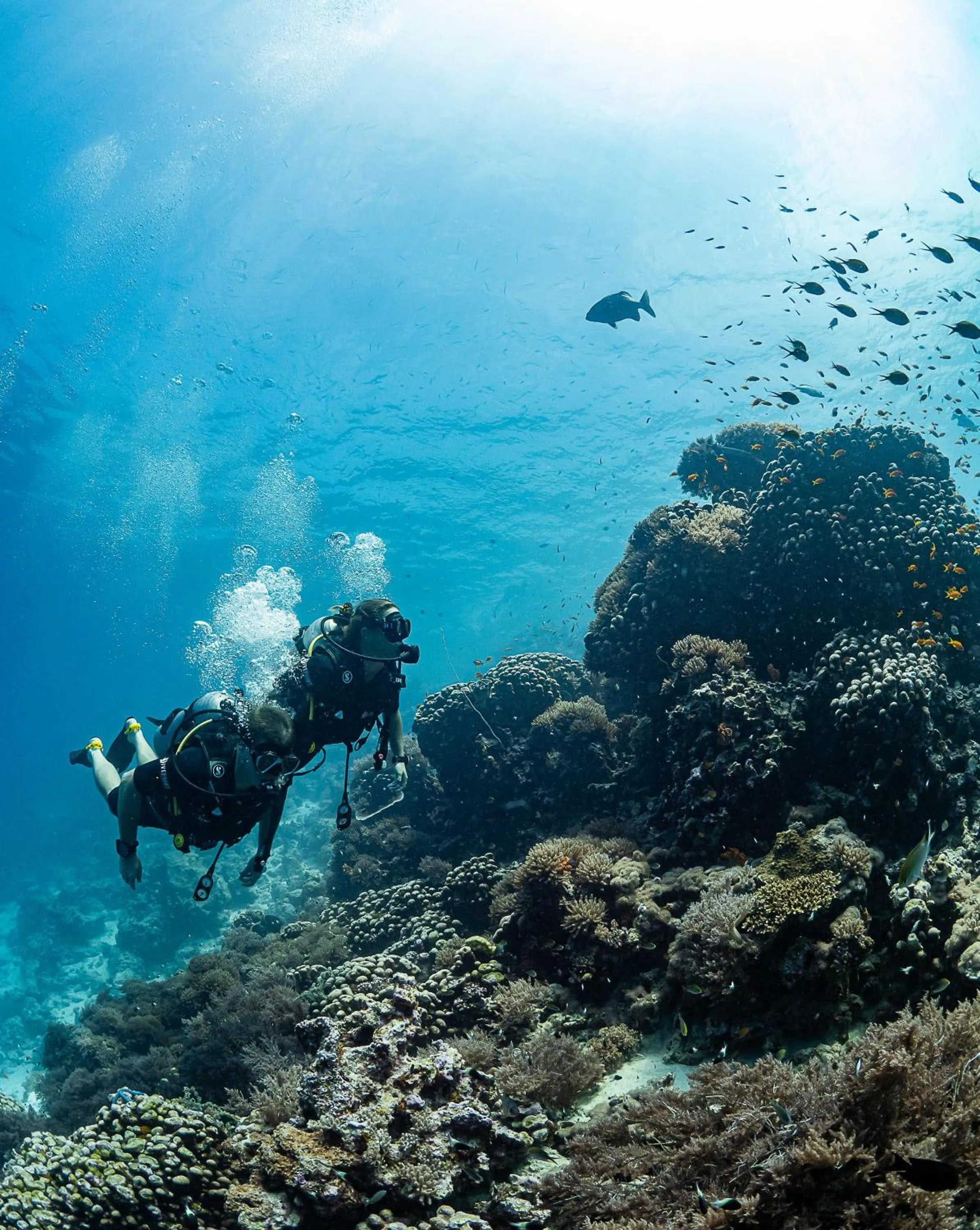 Diving in Sunshine Bay Zanzibar - Adults Only