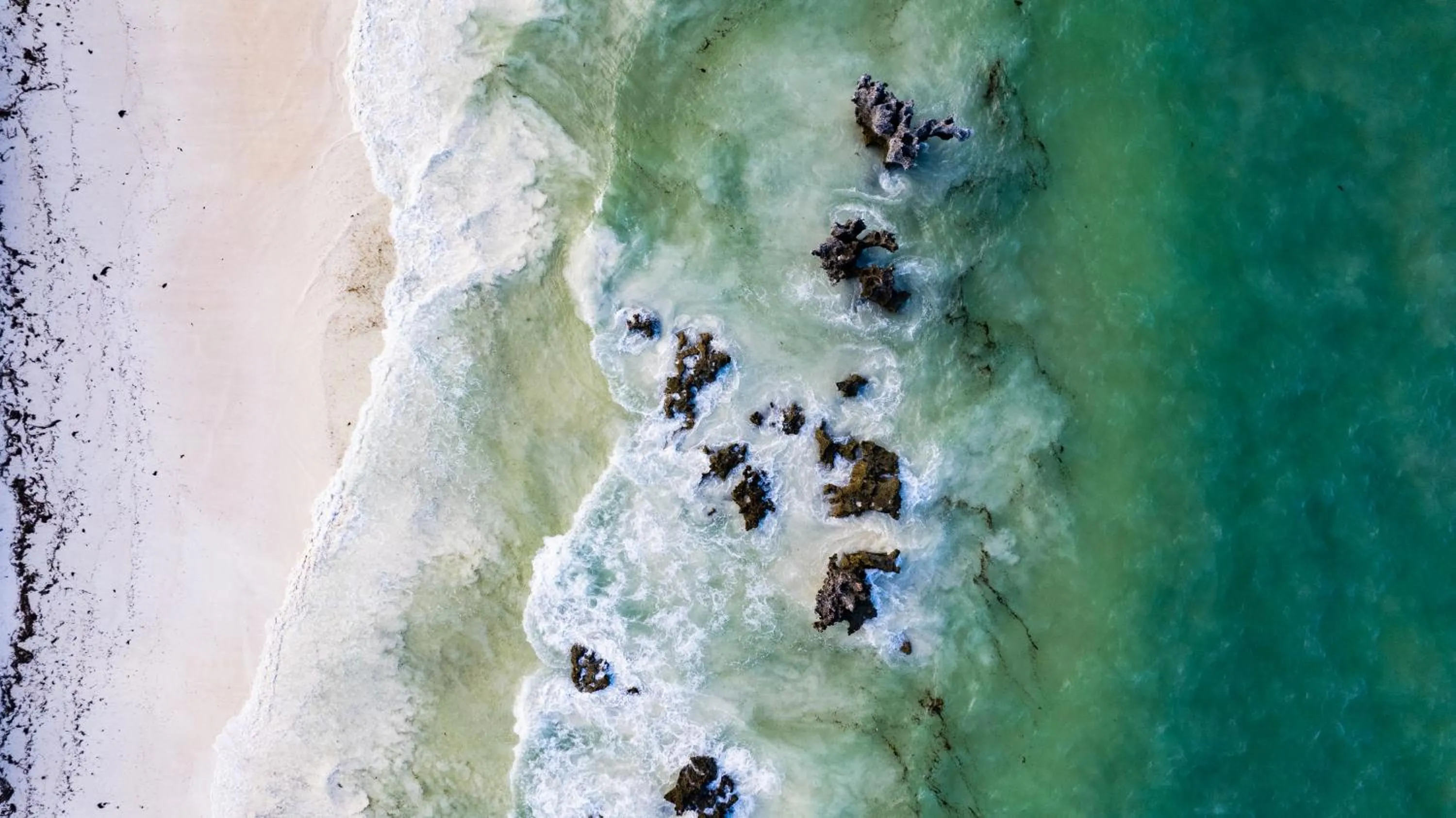 Natural landscape in Sunshine Bay Zanzibar - Adults Only