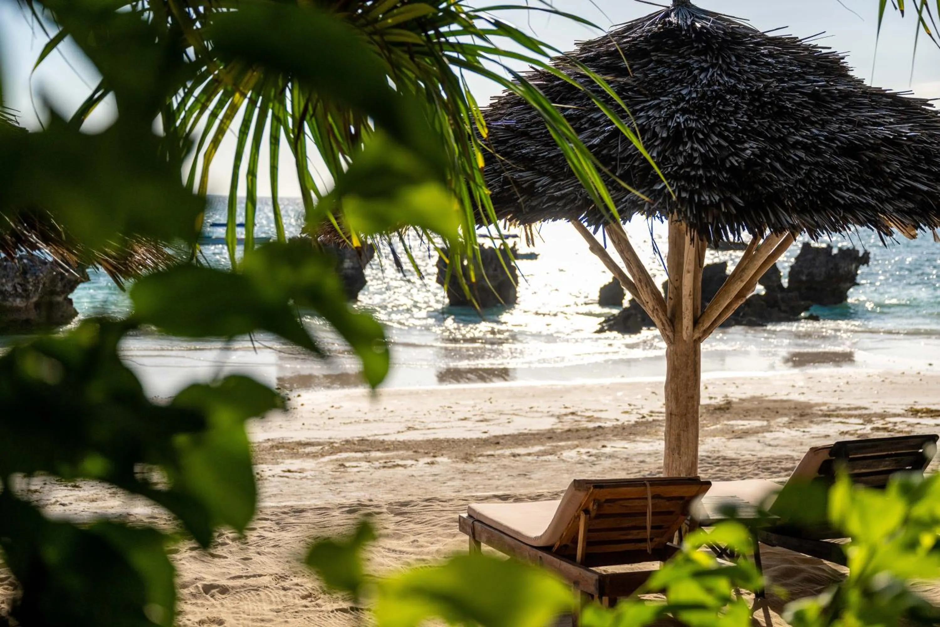 Garden in Sunshine Bay Zanzibar - Adults Only