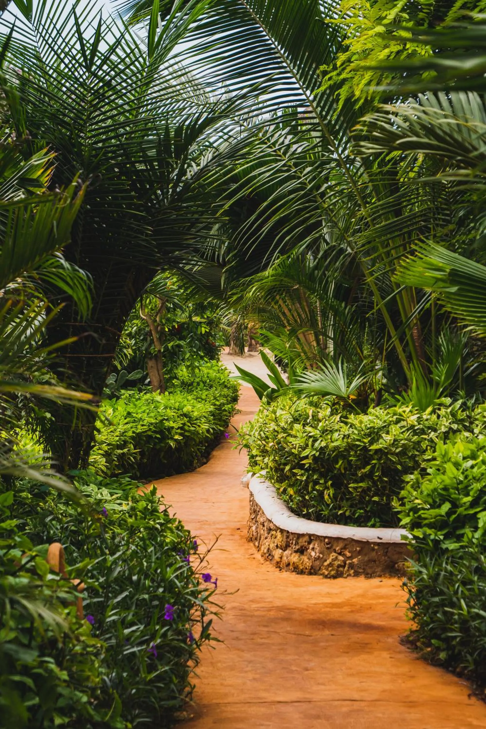 Property building in Sunshine Bay Zanzibar - Adults Only