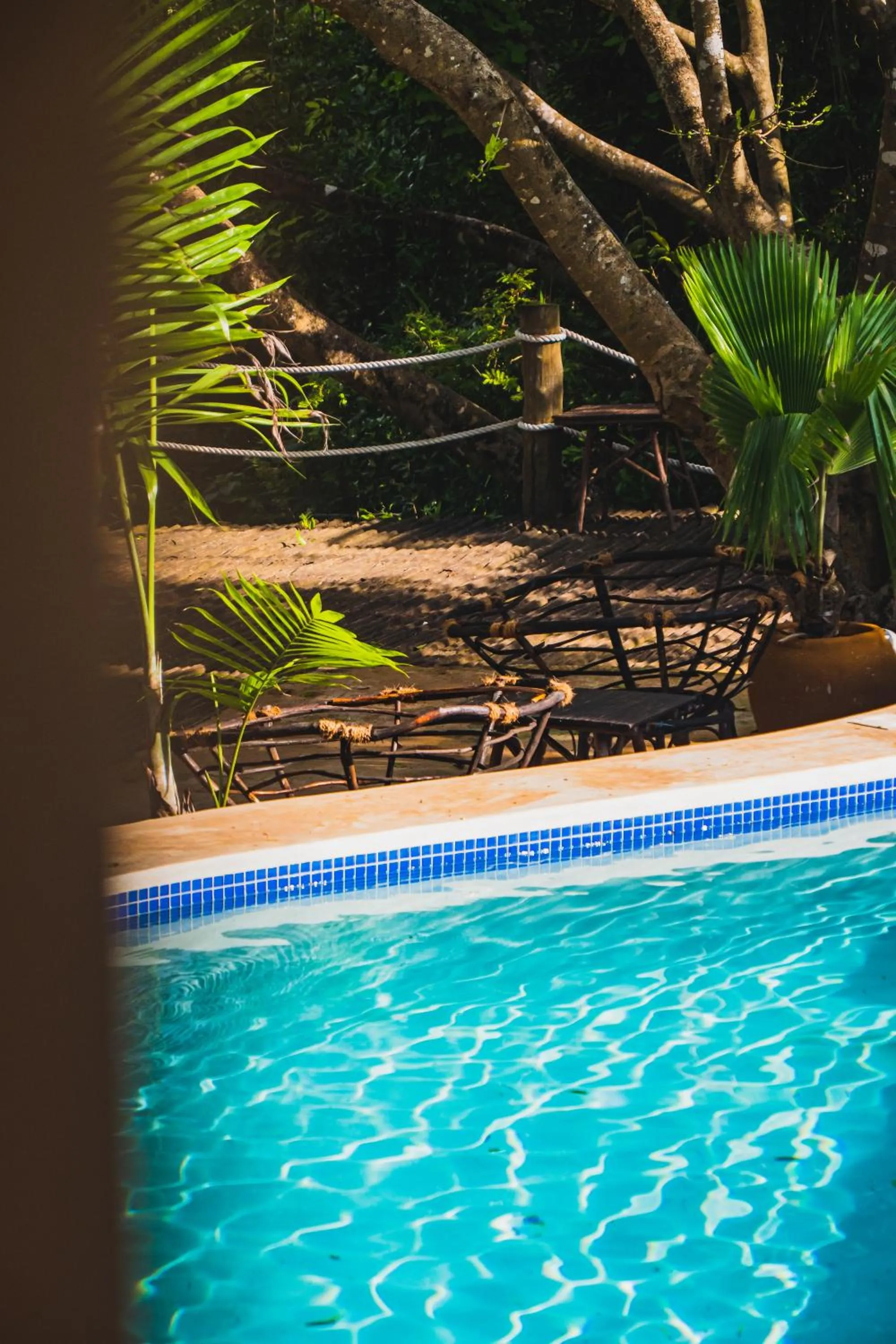 Garden in Sunshine Bay Zanzibar - Adults Only