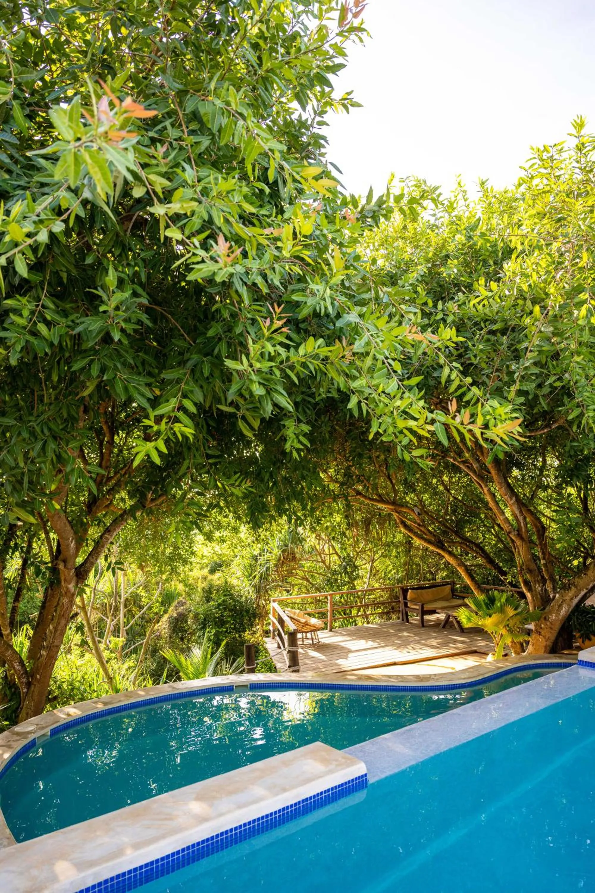 Garden in Sunshine Bay Zanzibar - Adults Only