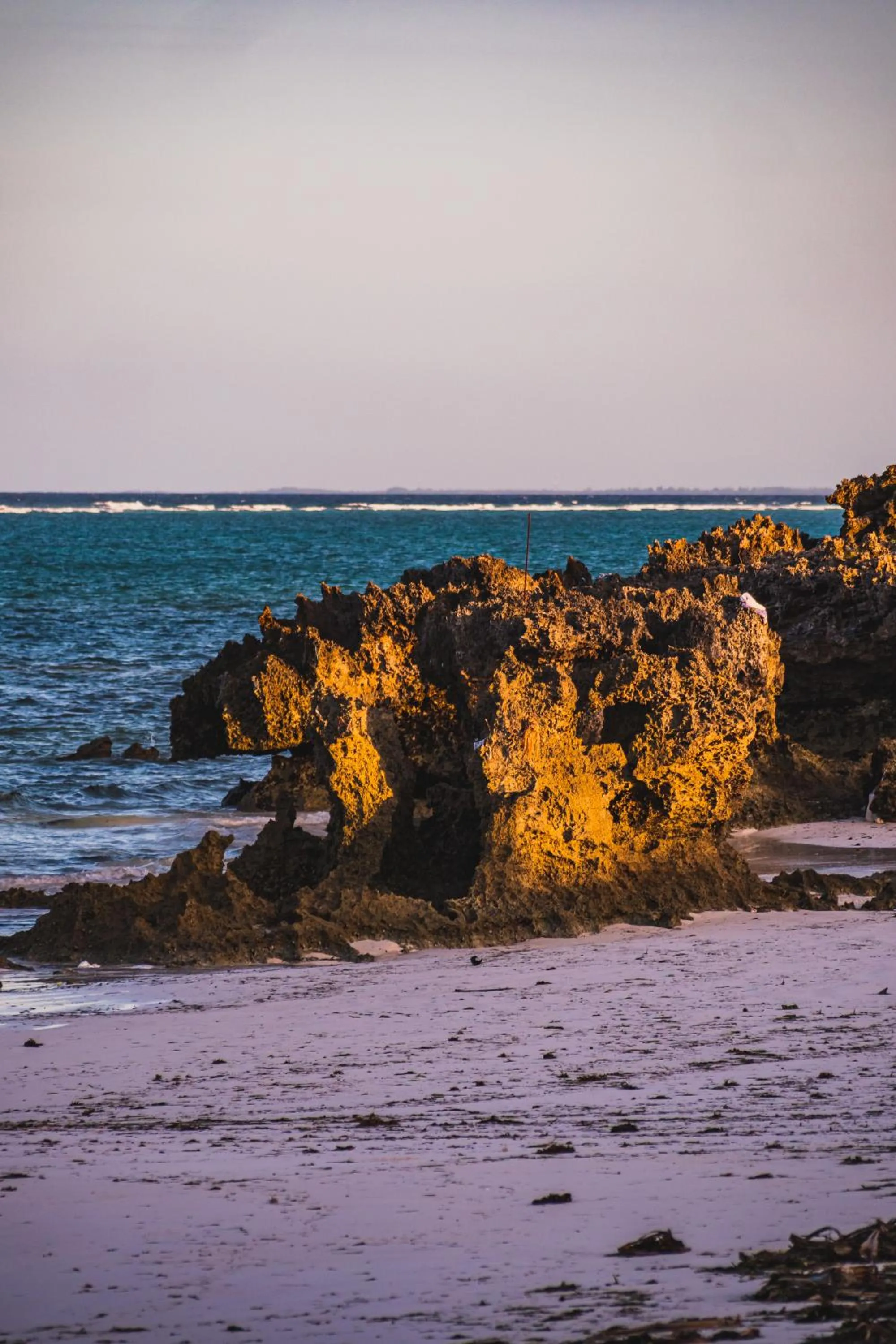 Natural landscape in Sunshine Bay Zanzibar - Adults Only