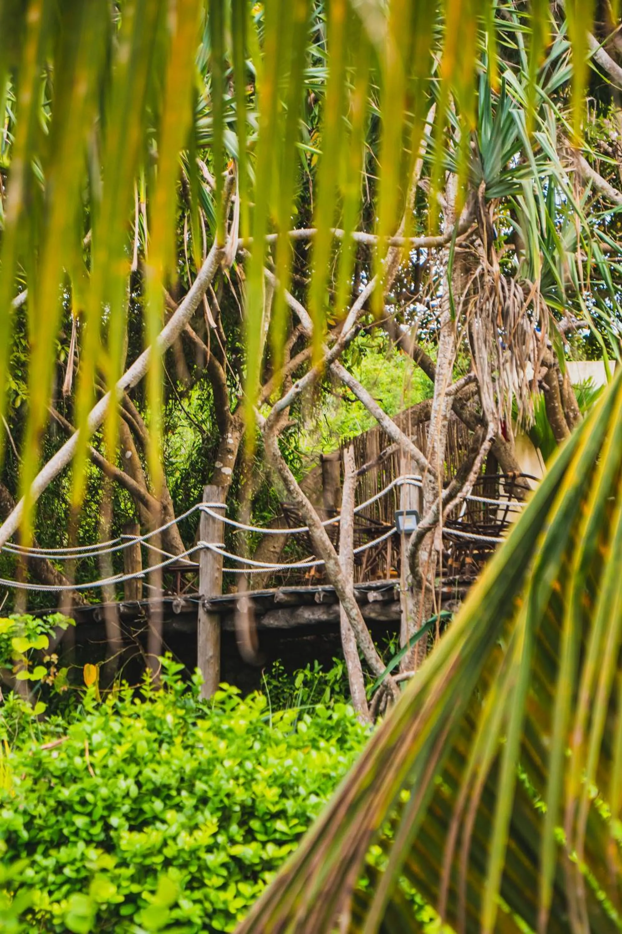 Garden in Sunshine Bay Zanzibar - Adults Only