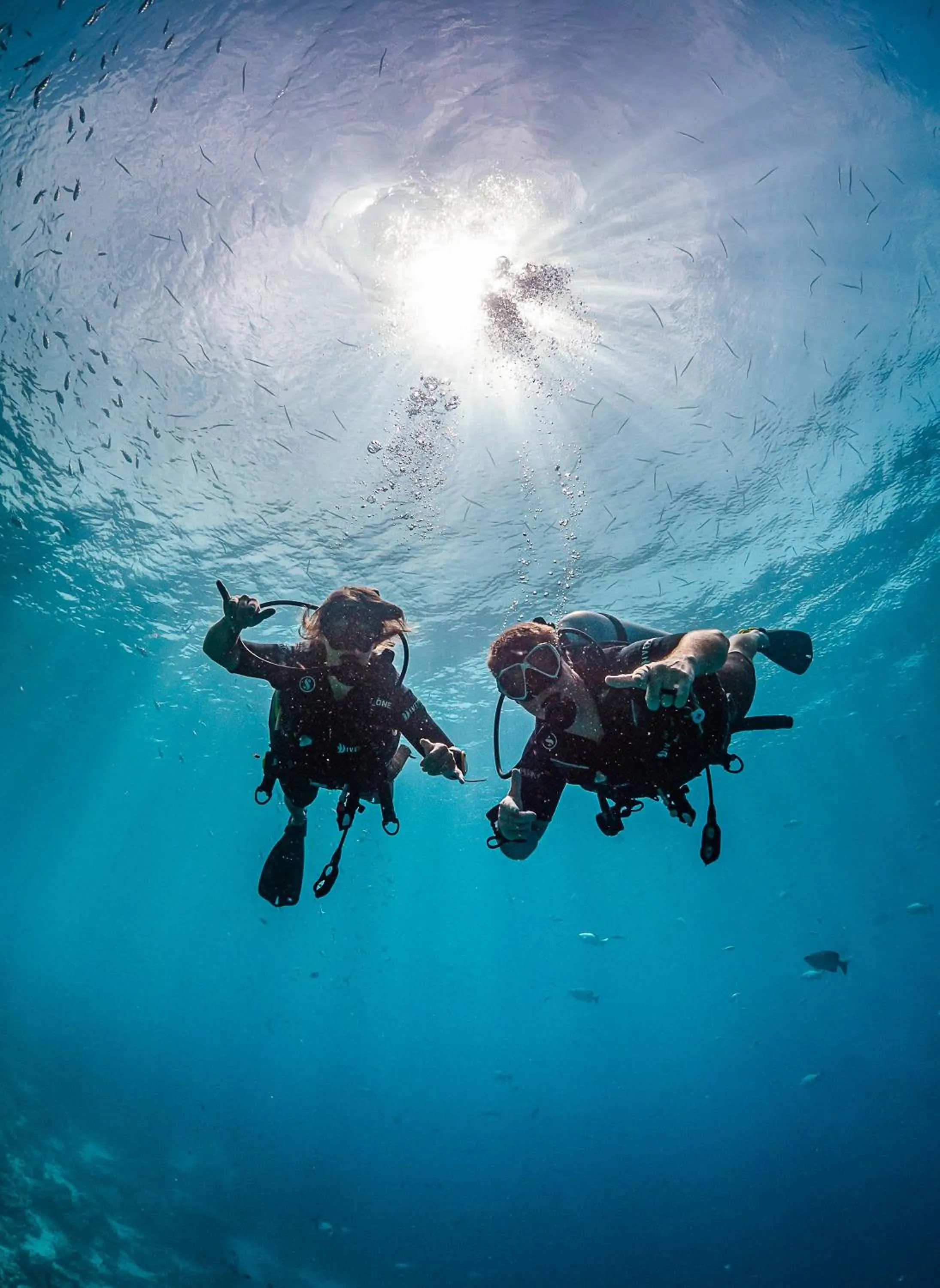 Diving in Sunshine Bay Zanzibar - Adults Only
