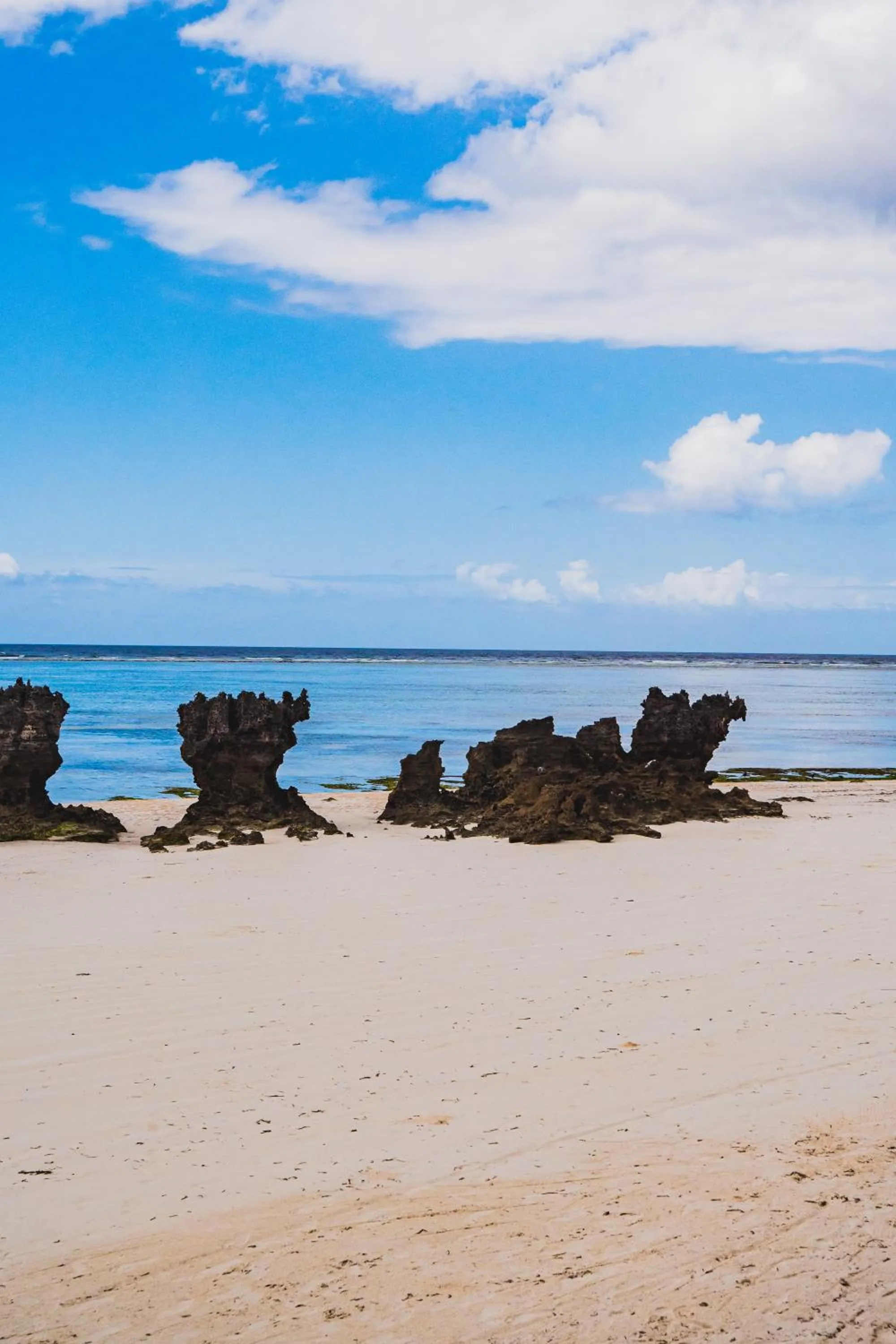 Natural landscape in Sunshine Bay Zanzibar - Adults Only