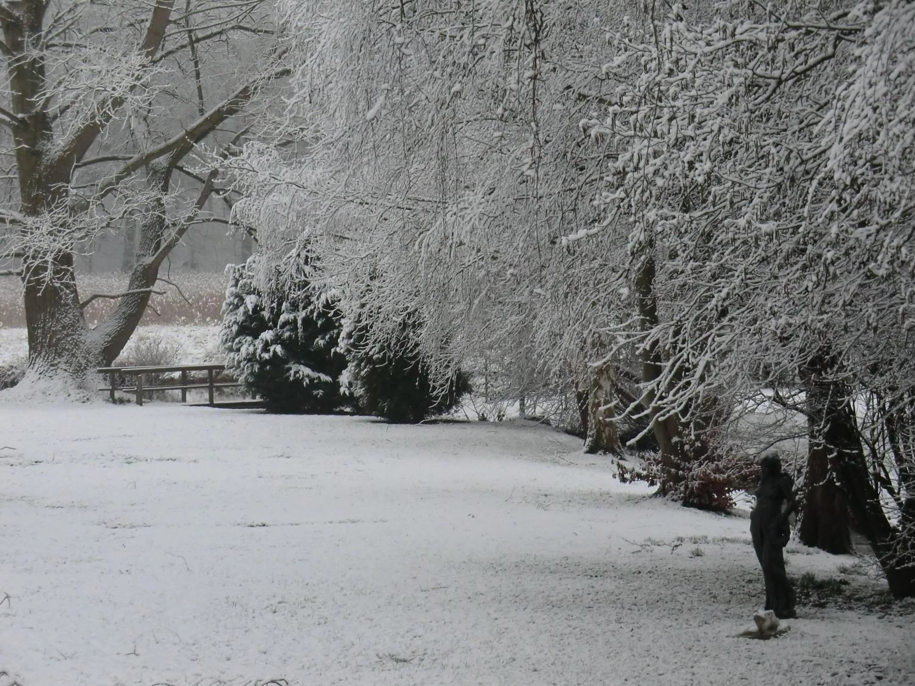 Winter in Hotel Oymanns