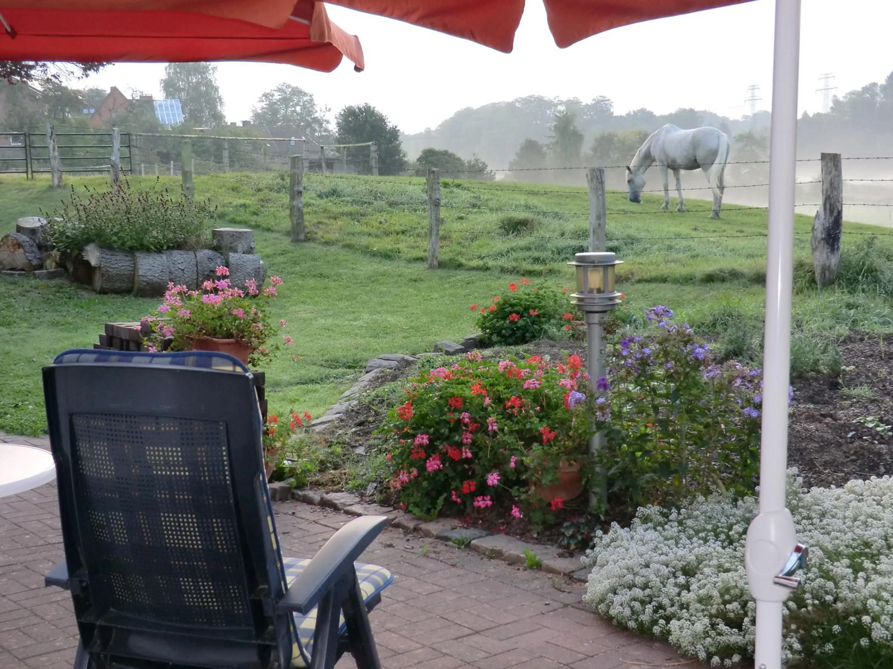 Balcony/Terrace in Hotel Oymanns