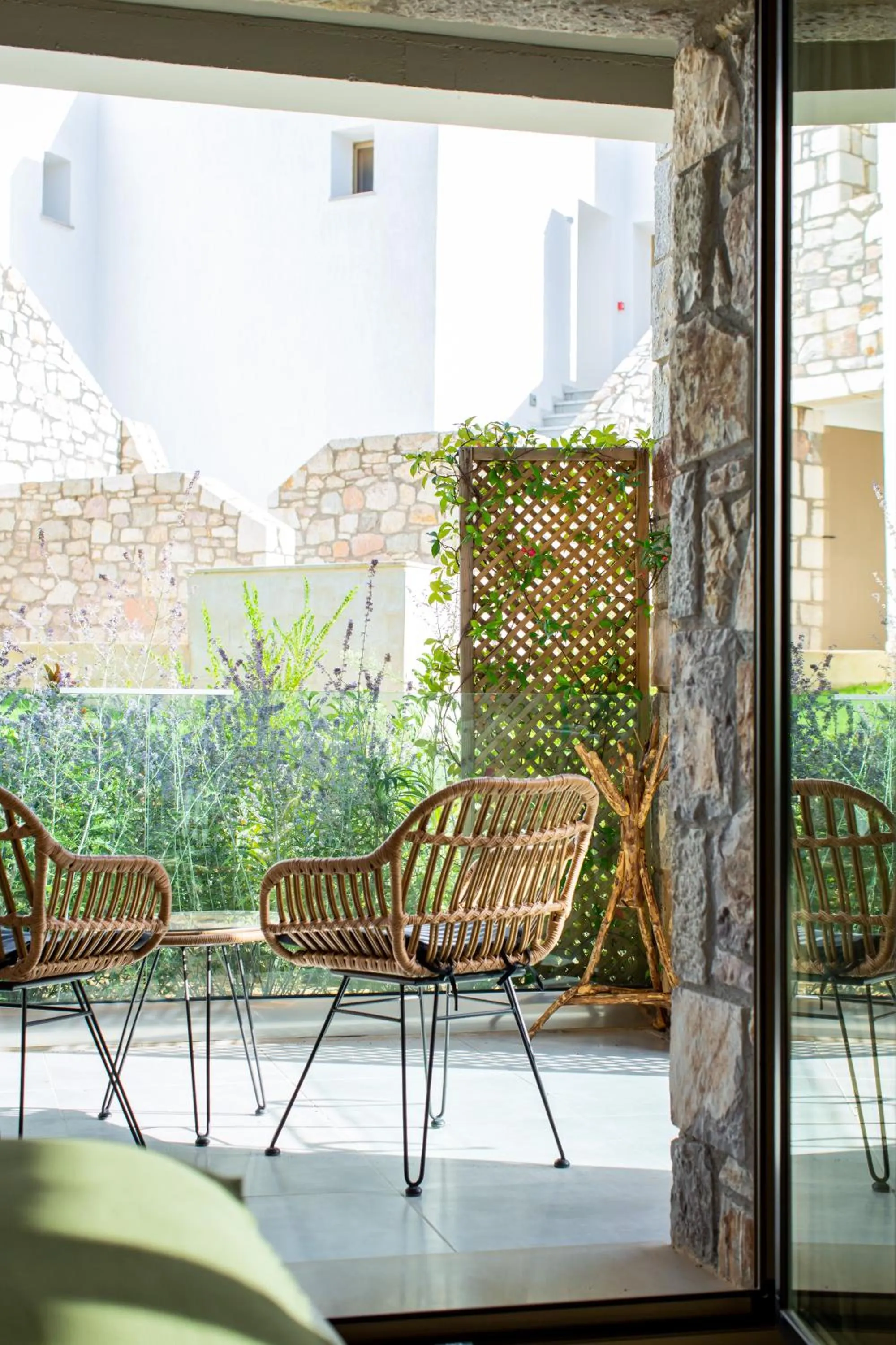 WHITE DONKEY BOUTIQUE Hotel