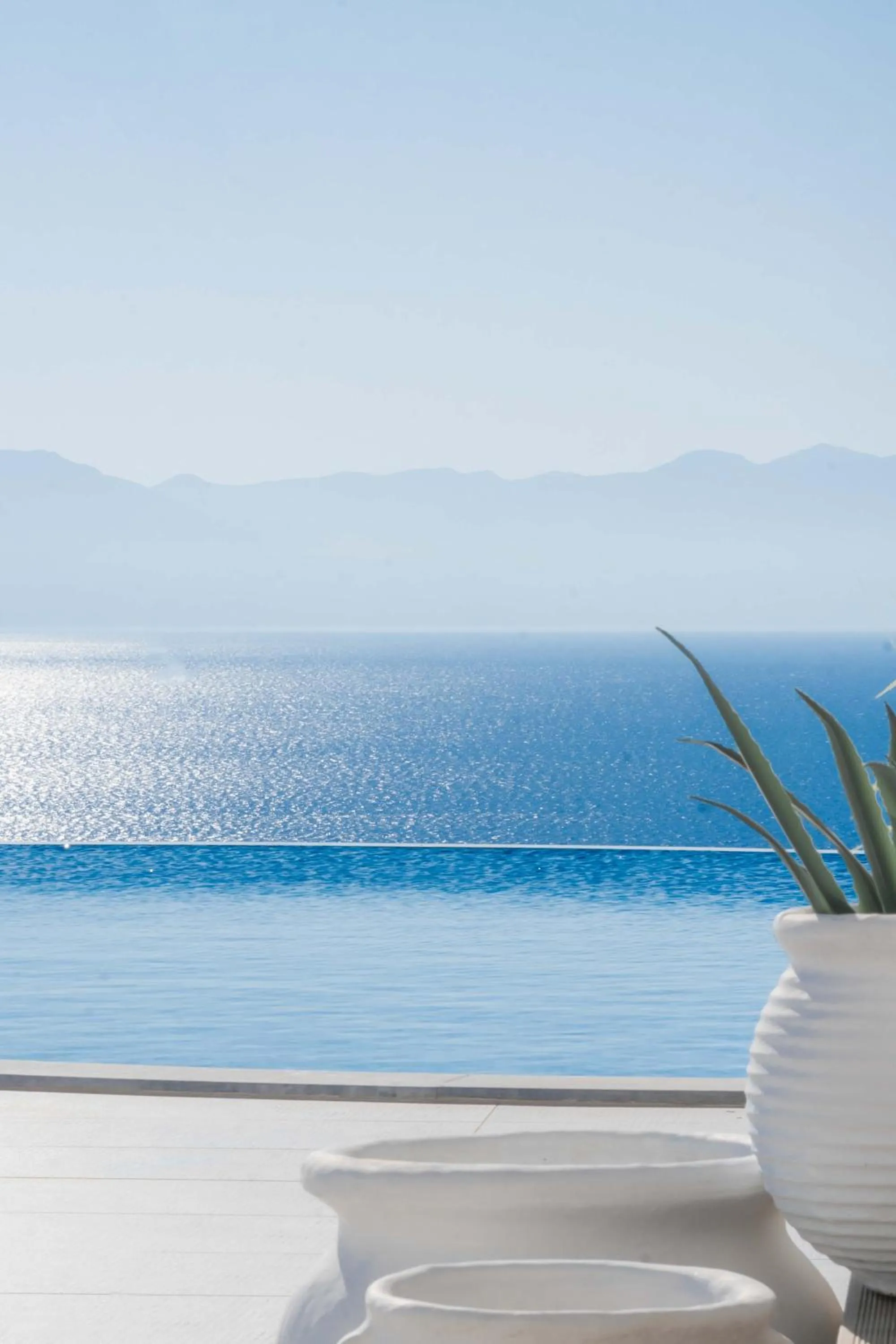 WHITE DONKEY BOUTIQUE Hotel