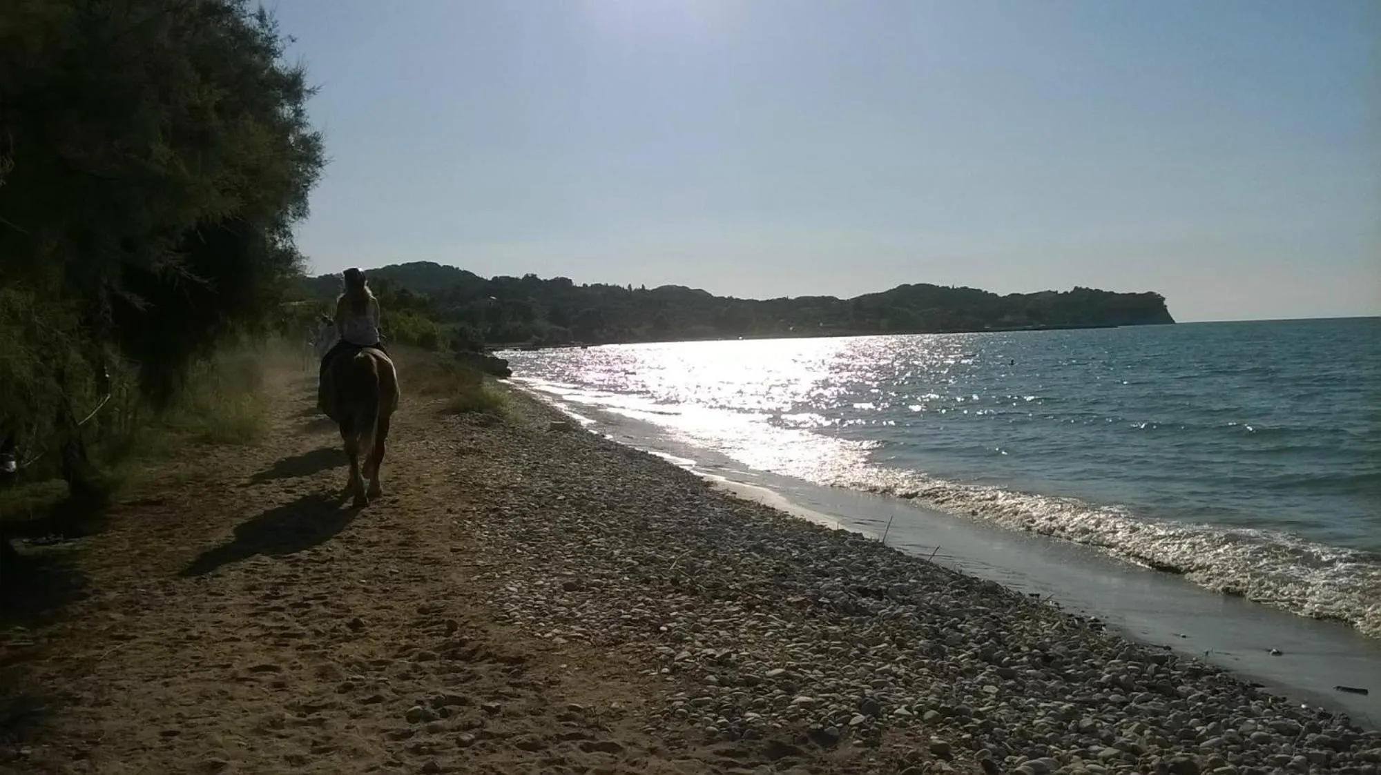 Natural landscape in S&C Kosmos Beach Resort