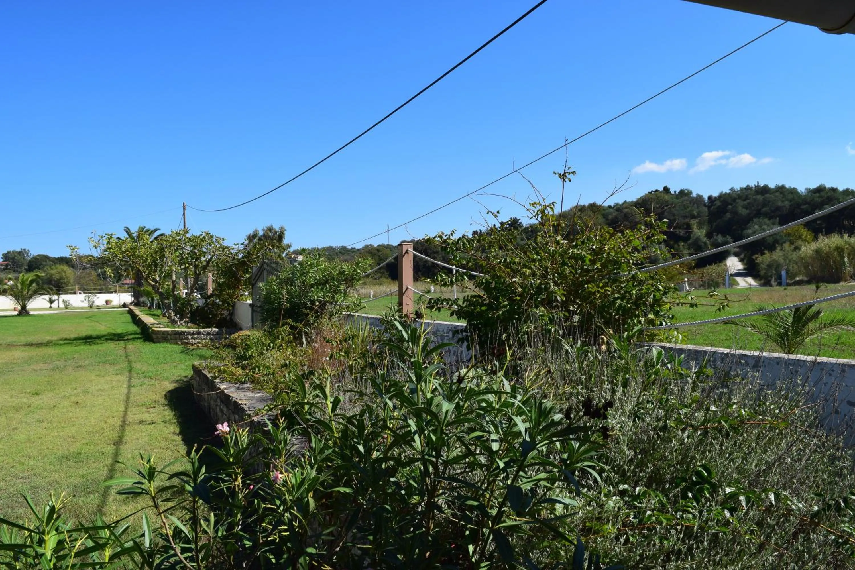 Garden in S&C Kosmos Beach Resort