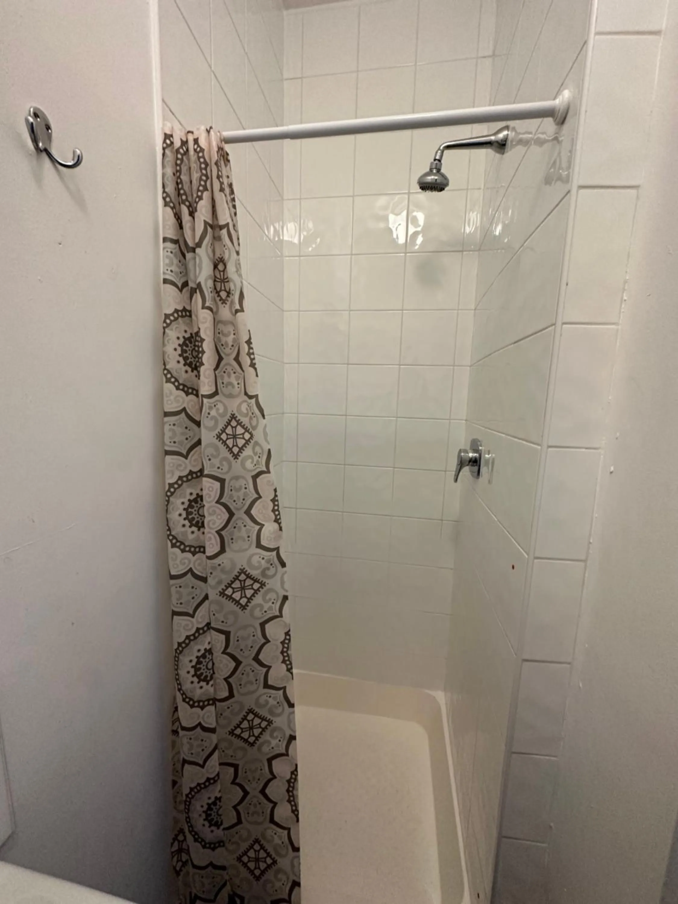 The Grapevine Hostel