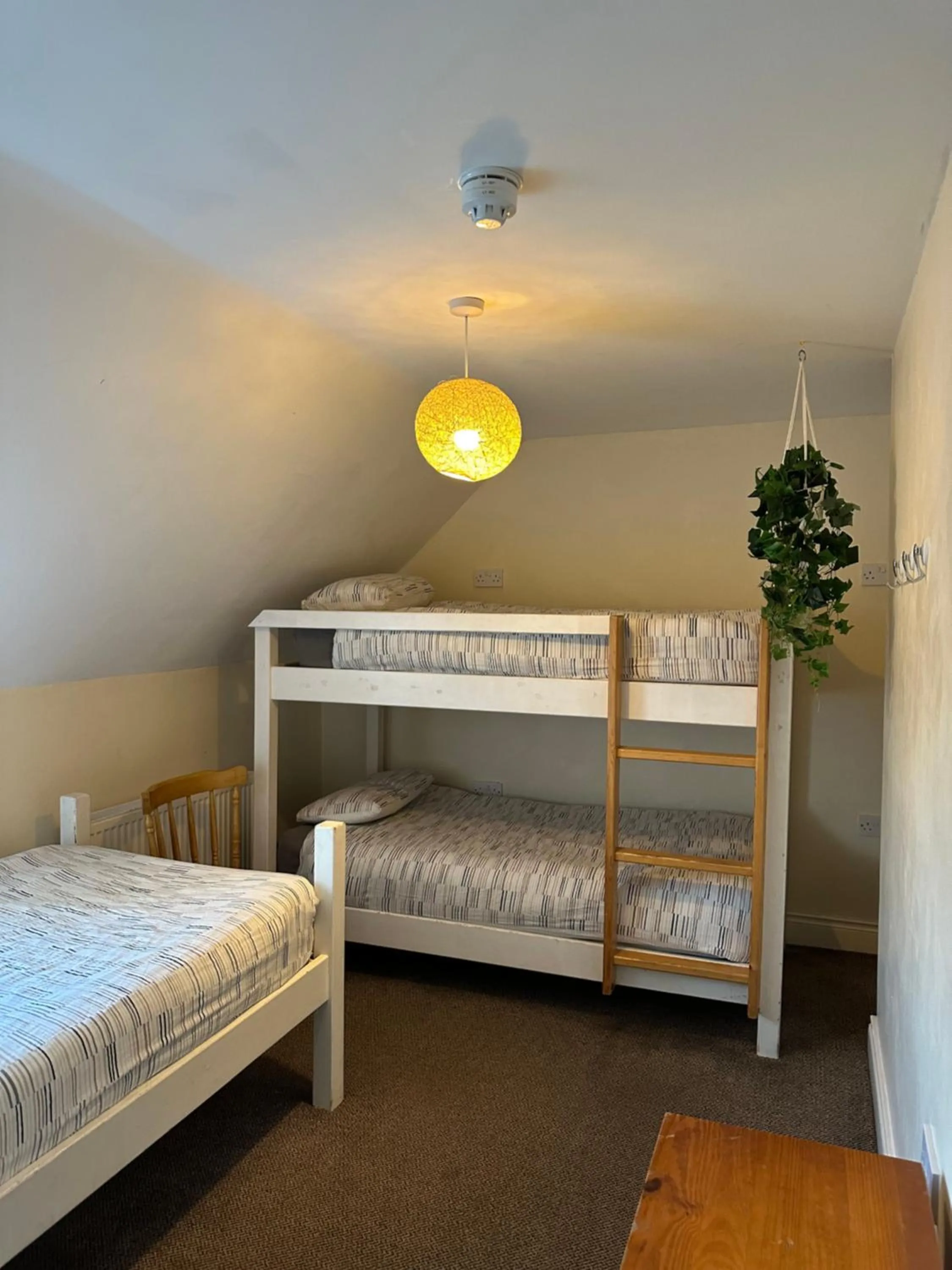 Bed in The Grapevine Hostel