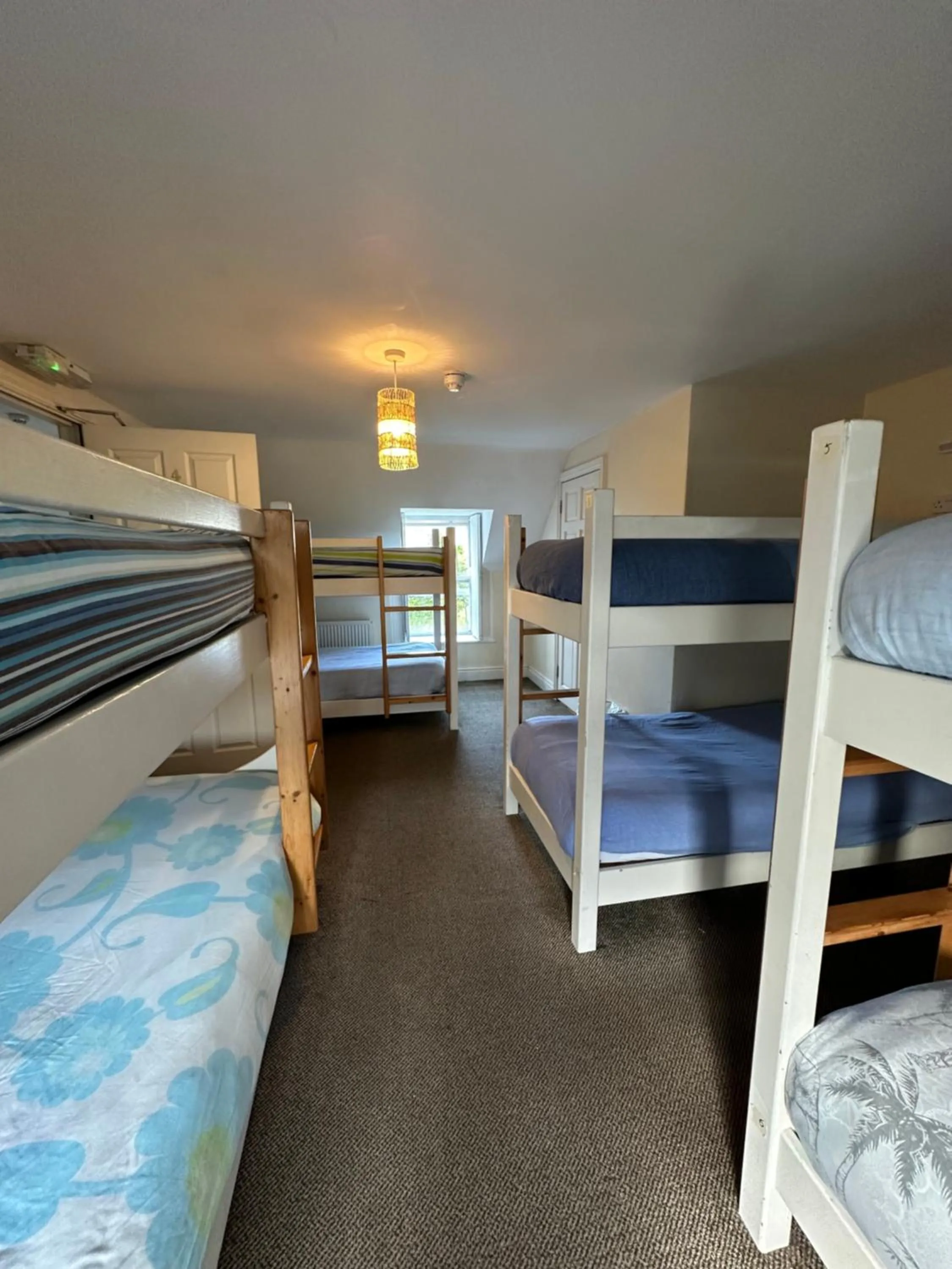 Bed in The Grapevine Hostel