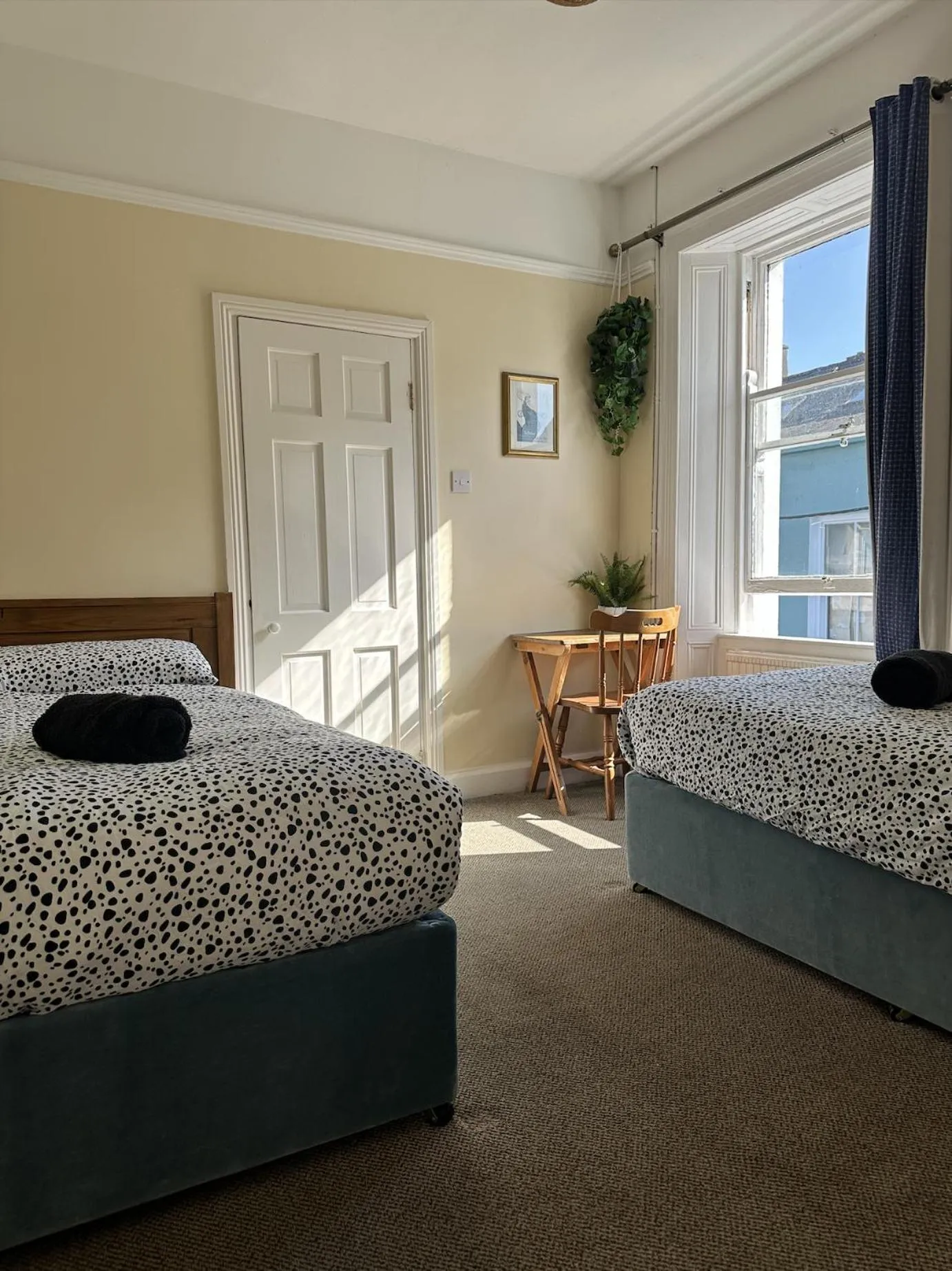 Bed in The Grapevine Hostel