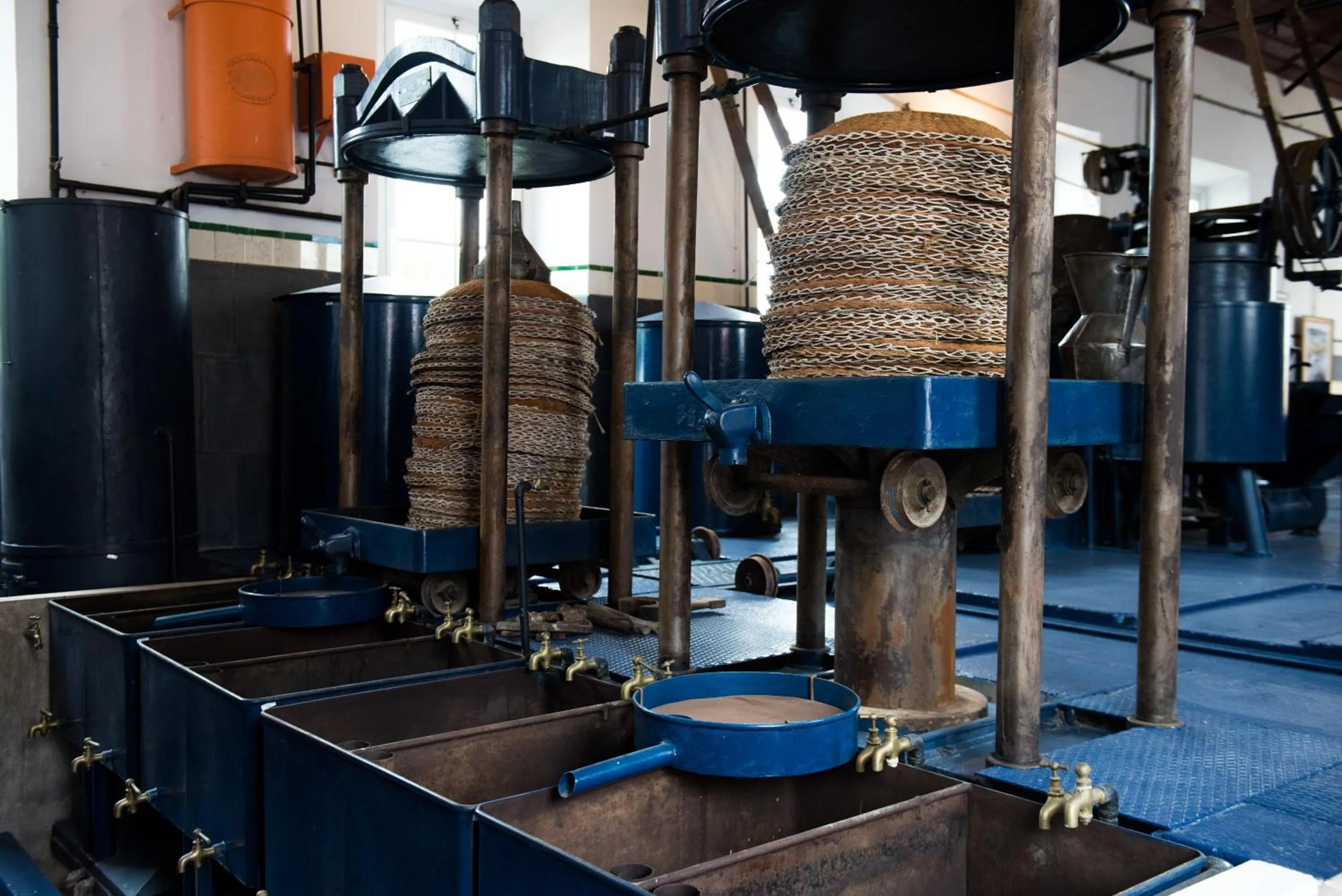 Activities in Vila Gale Collection Alter Real - Resort Equestre, Conference & Spa