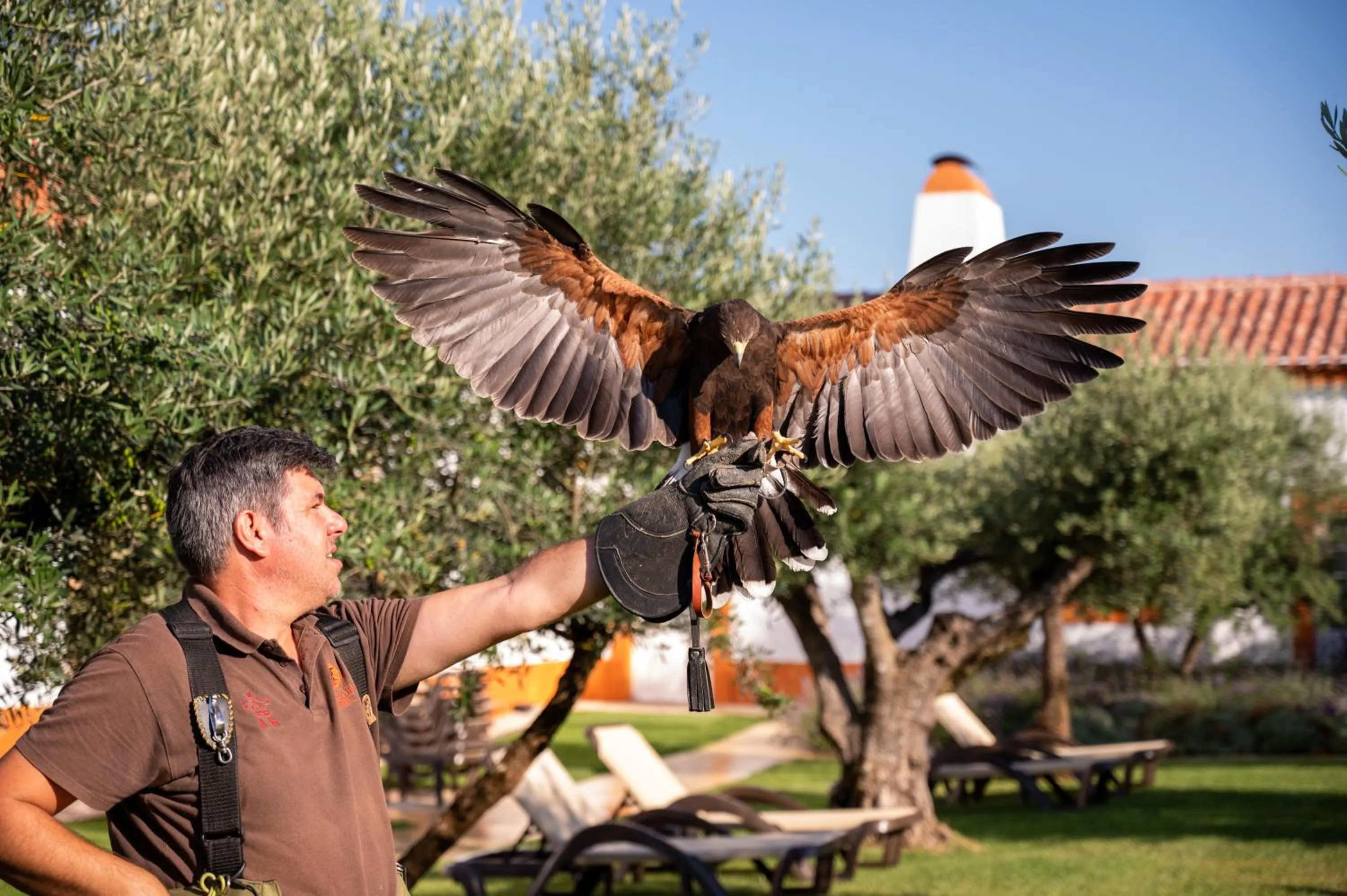 Activities in Vila Gale Collection Alter Real - Resort Equestre, Conference & Spa