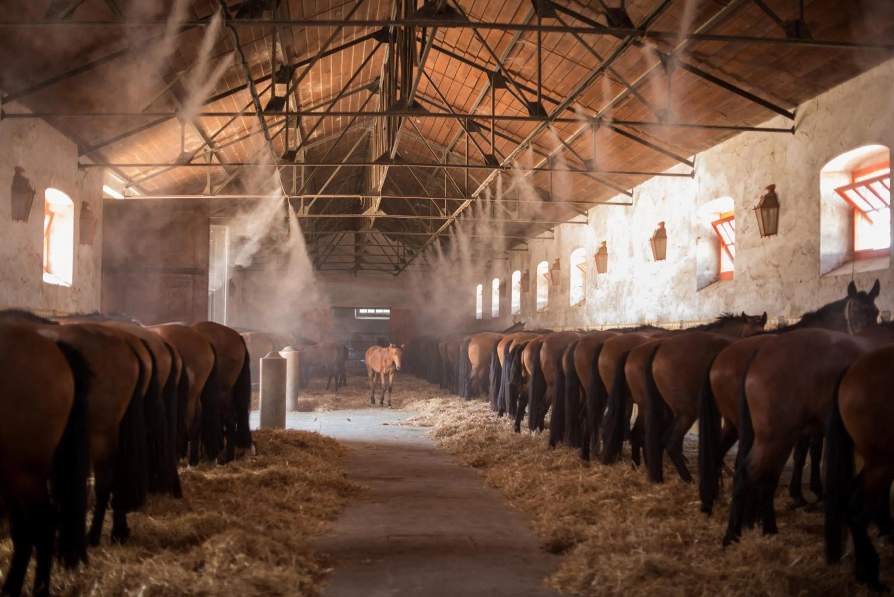 Activities in Vila Gale Collection Alter Real - Resort Equestre, Conference & Spa