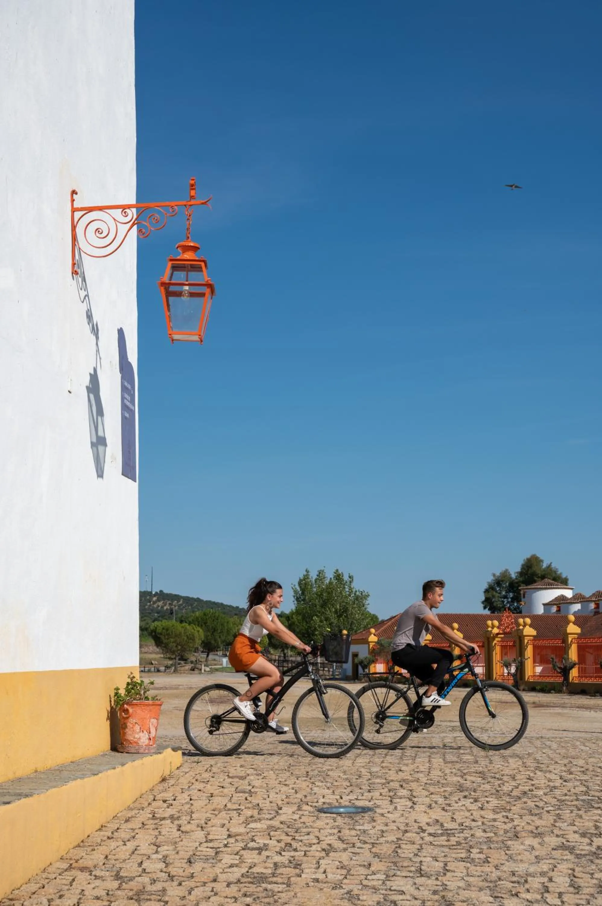 Activities in Vila Gale Collection Alter Real - Resort Equestre, Conference & Spa