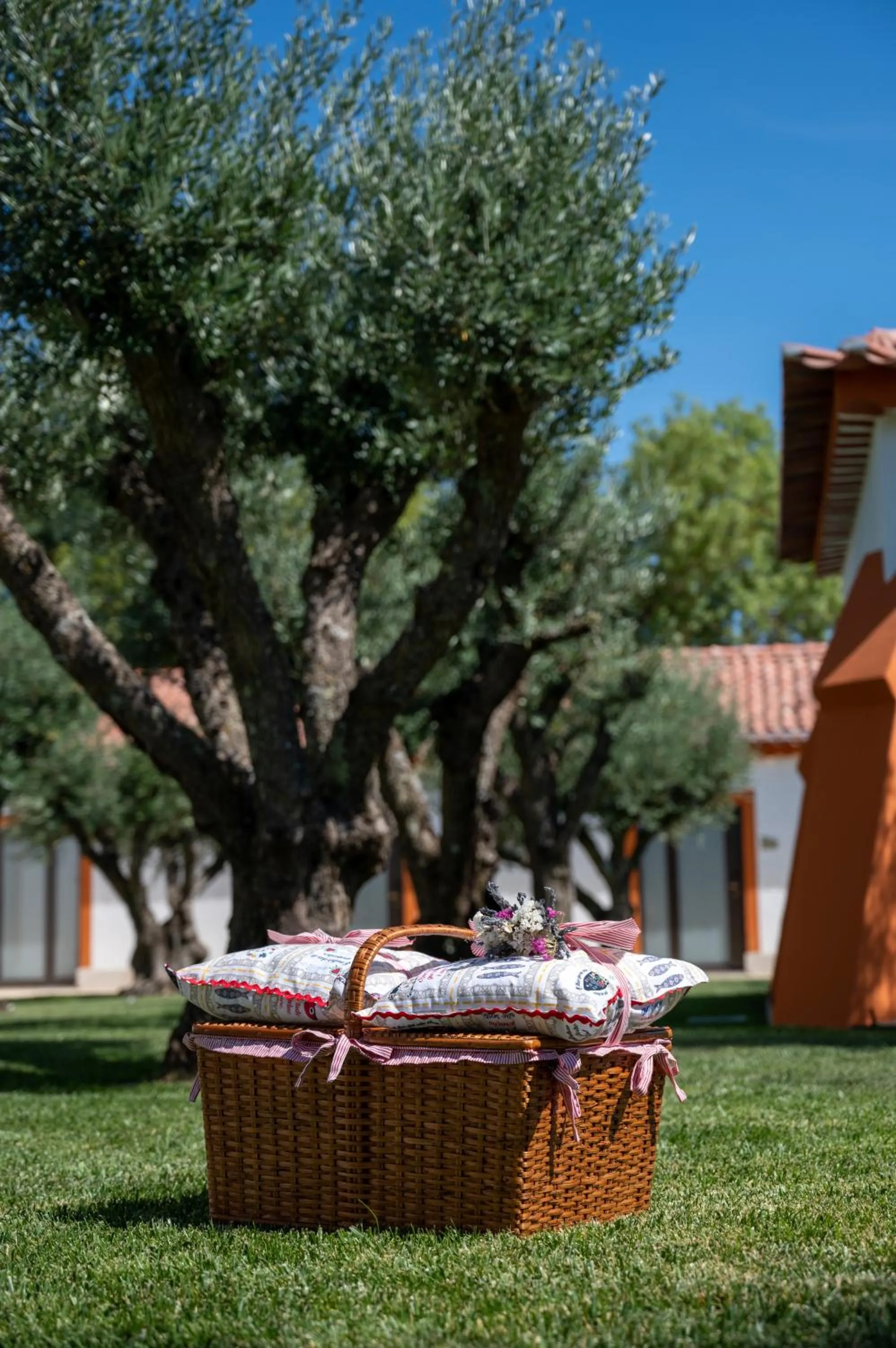 Activities in Vila Gale Collection Alter Real - Resort Equestre, Conference & Spa