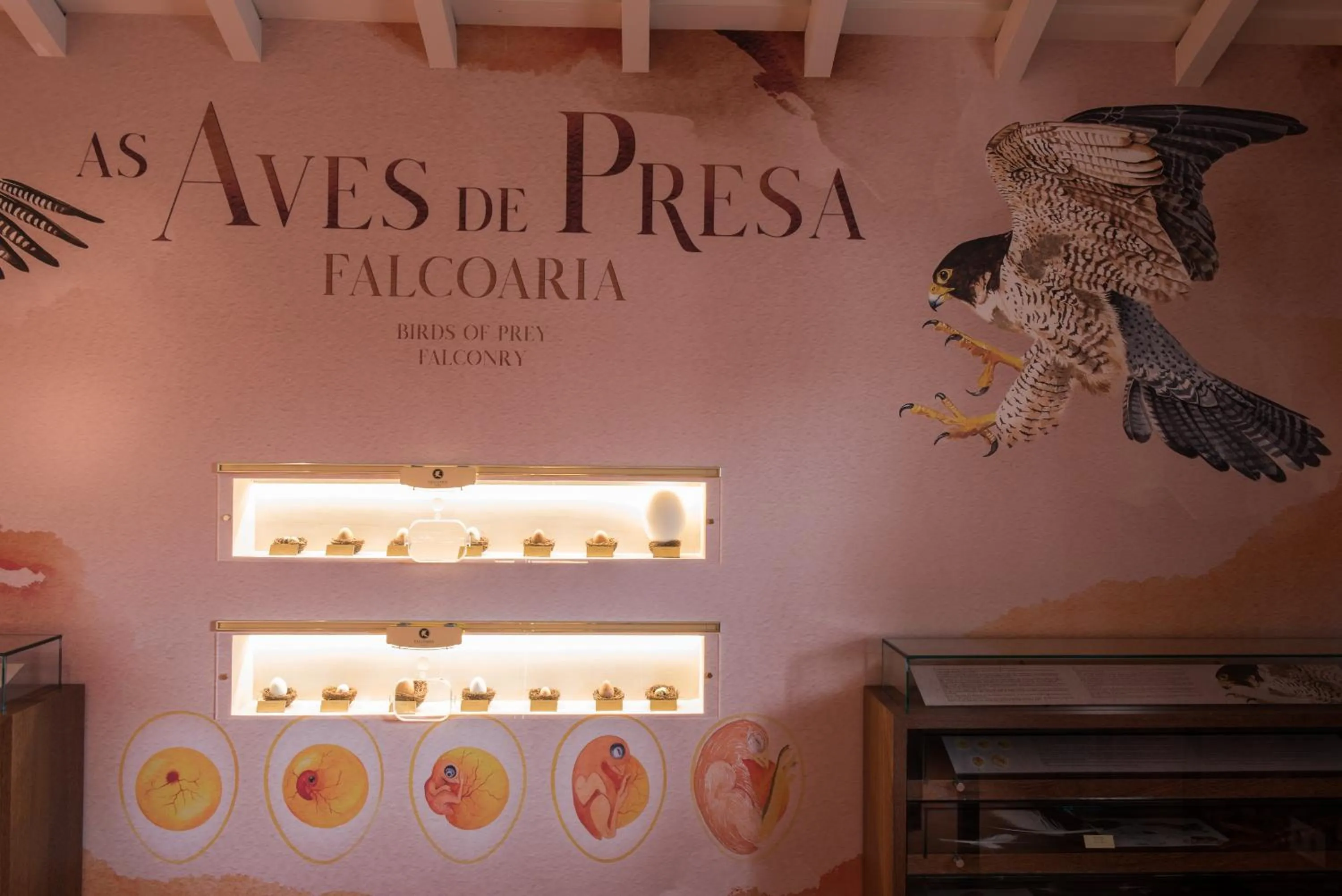 Activities in Vila Gale Collection Alter Real - Resort Equestre, Conference & Spa