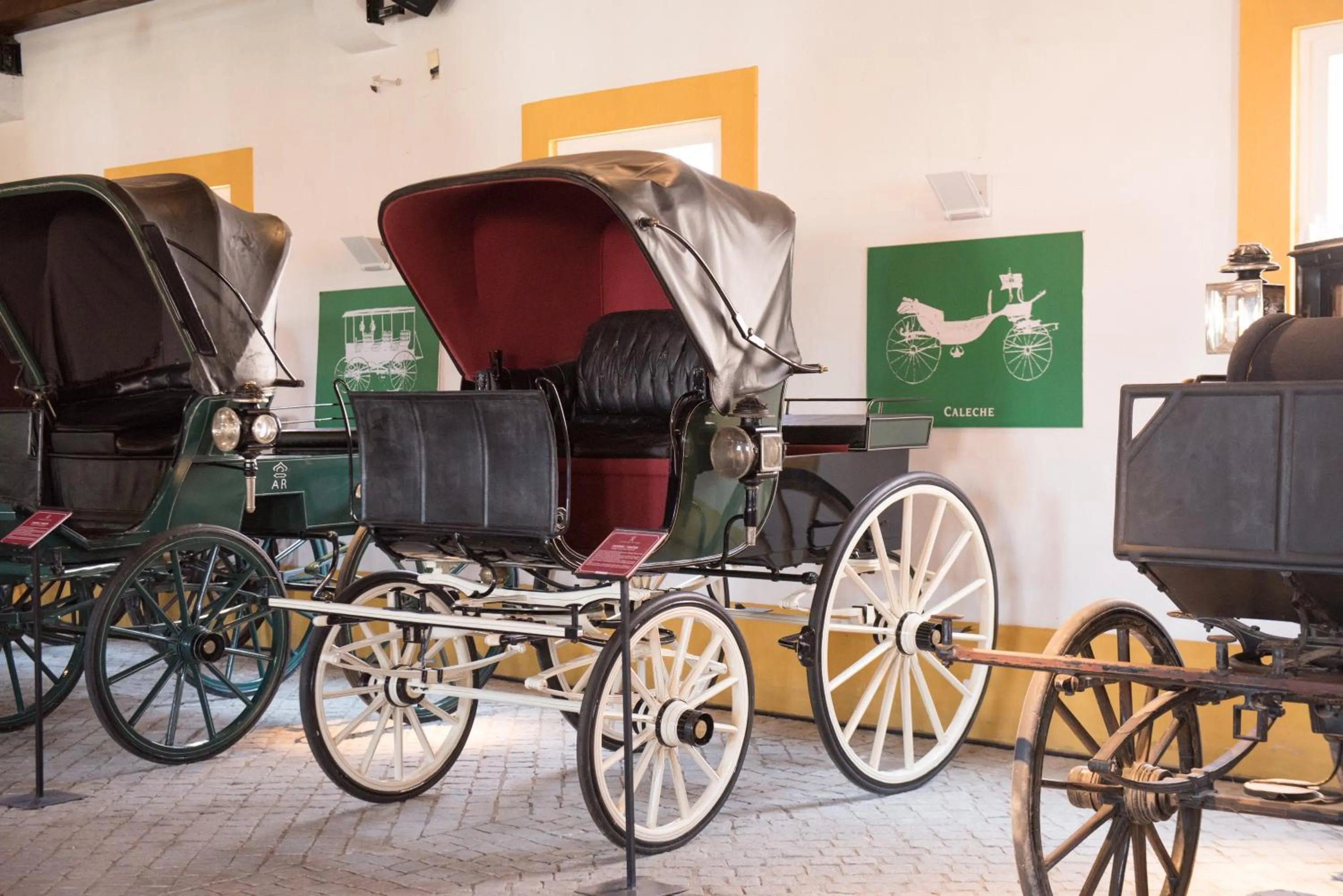 Activities in Vila Gale Collection Alter Real - Resort Equestre, Conference & Spa