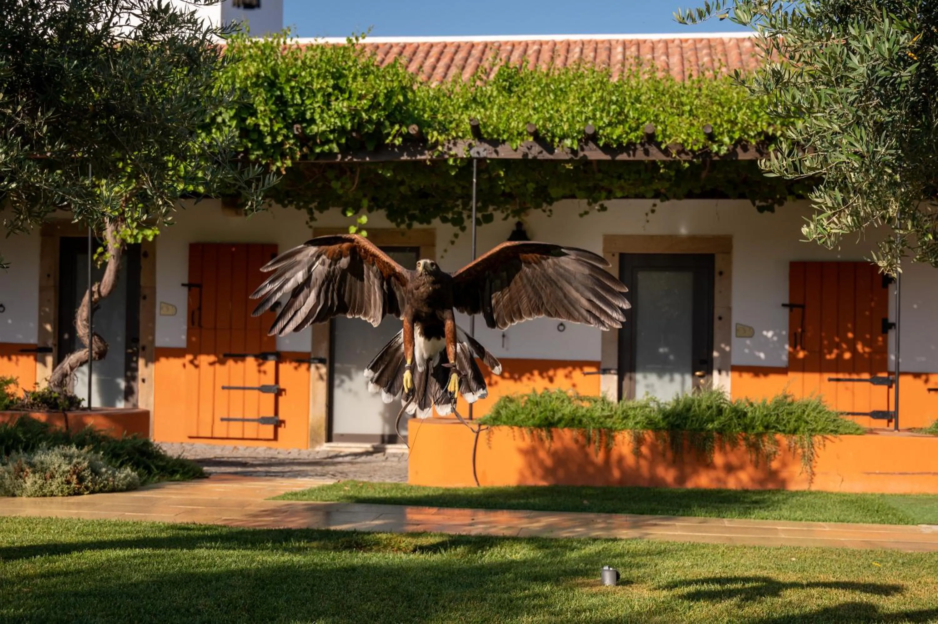 Activities in Vila Gale Collection Alter Real - Resort Equestre, Conference & Spa