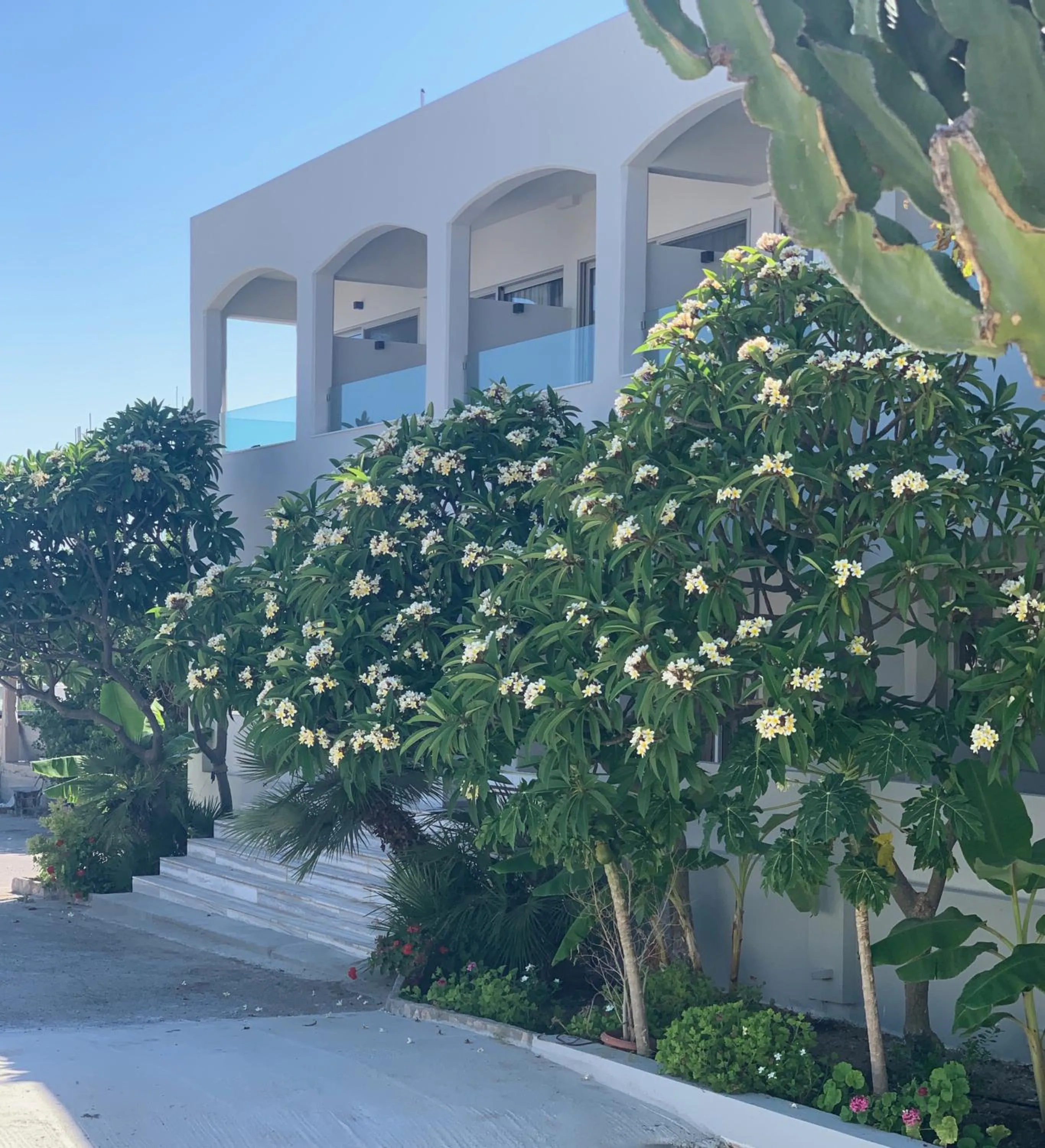 Facade/entrance in Pals Studios Pefkos