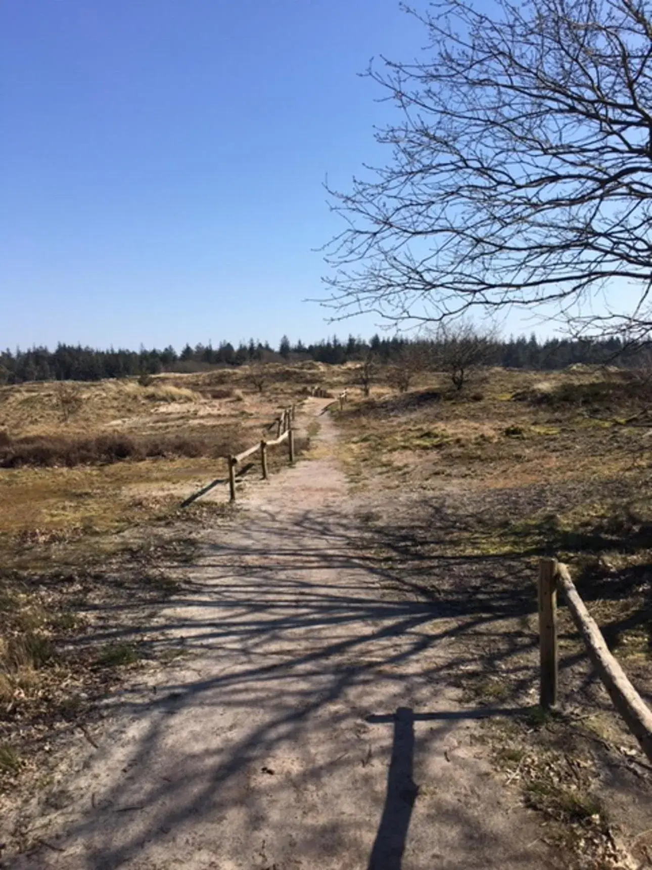 Reiterhof Wollesen Reiterhof Wollesen