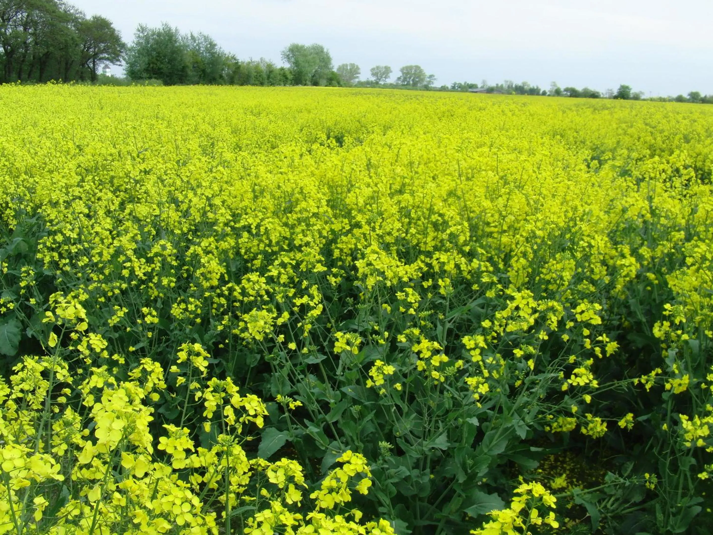 Other in Reiterhof Wollesen